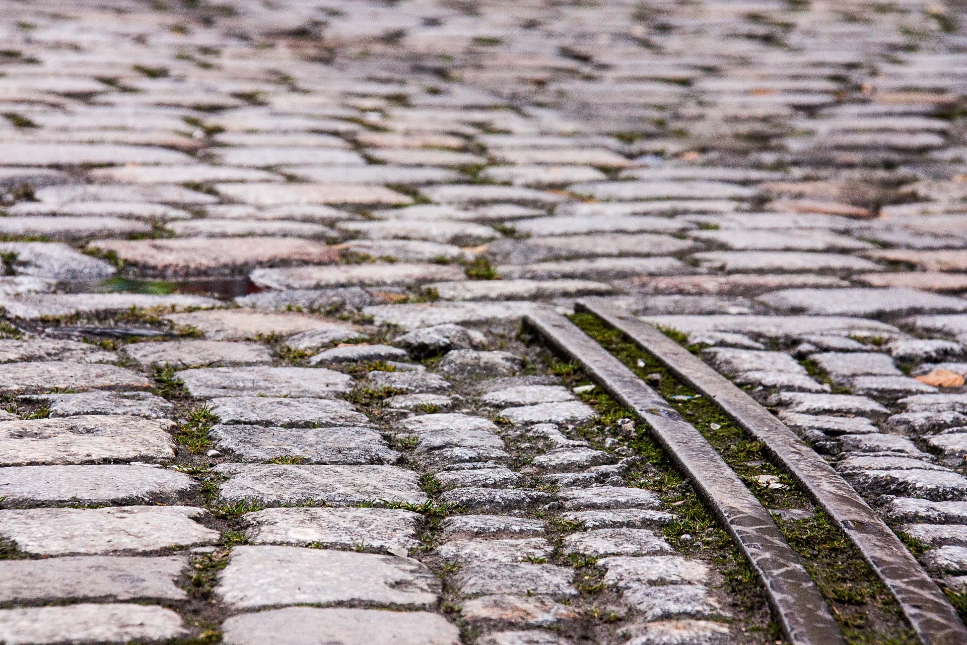 Foto: Michael Tomberge