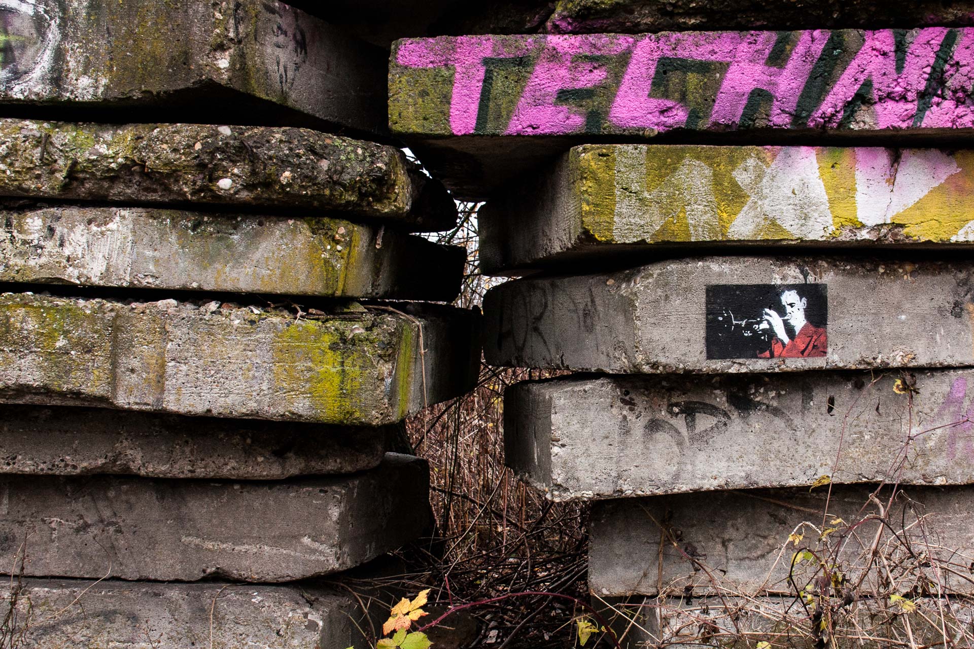 Foto: Michael Tomberge