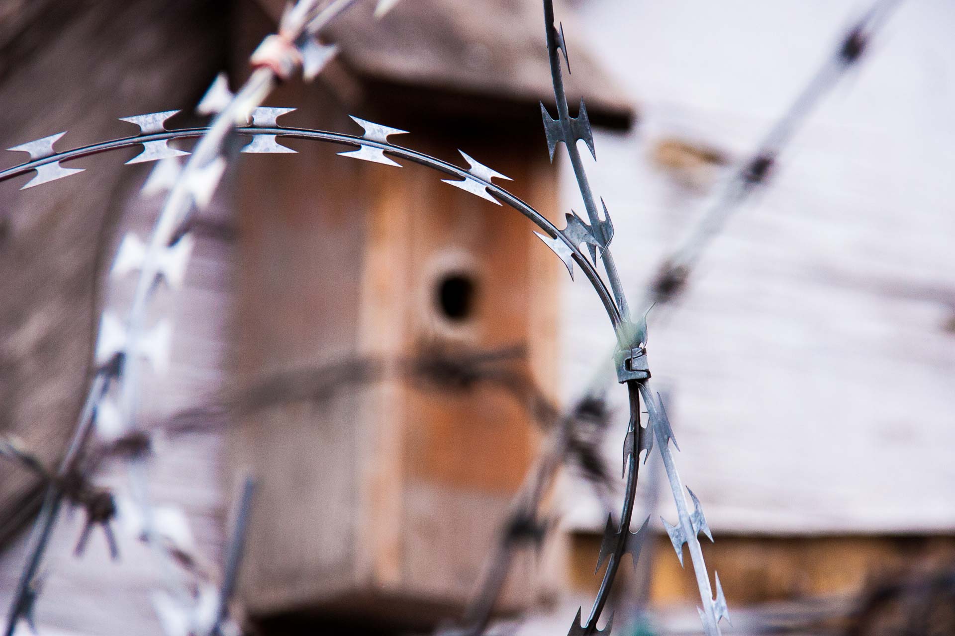 Foto: Michael Tomberge