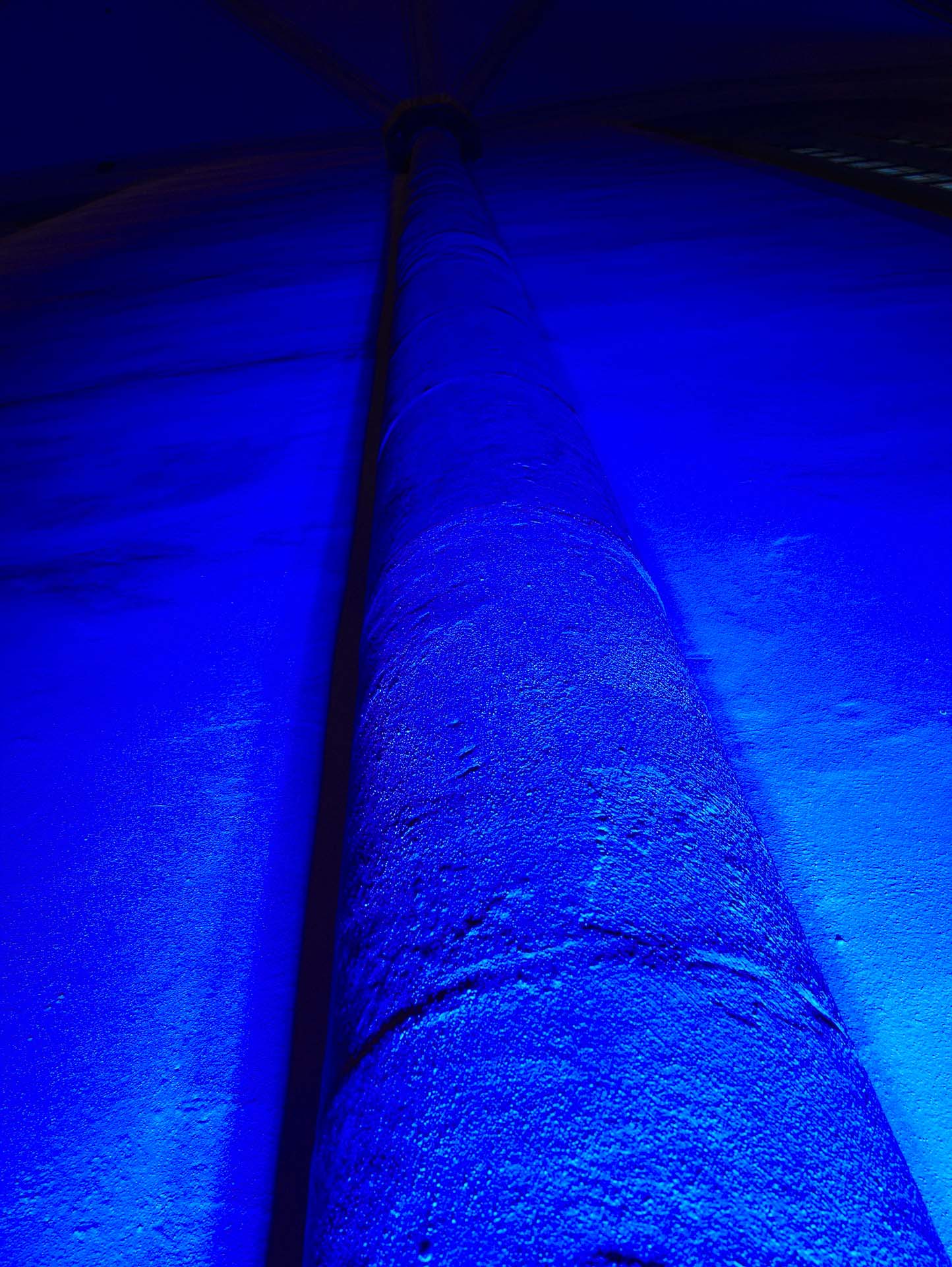 Foto: Dennis Günnewig