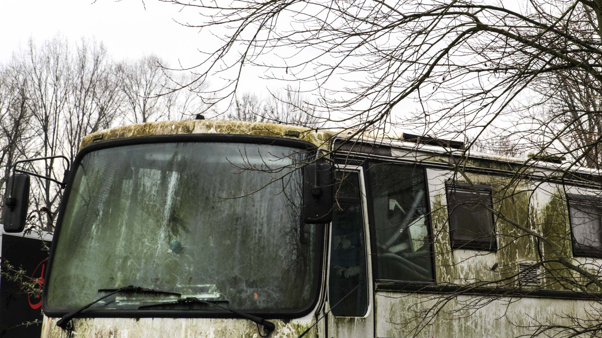 Foto: Malte Handschuh