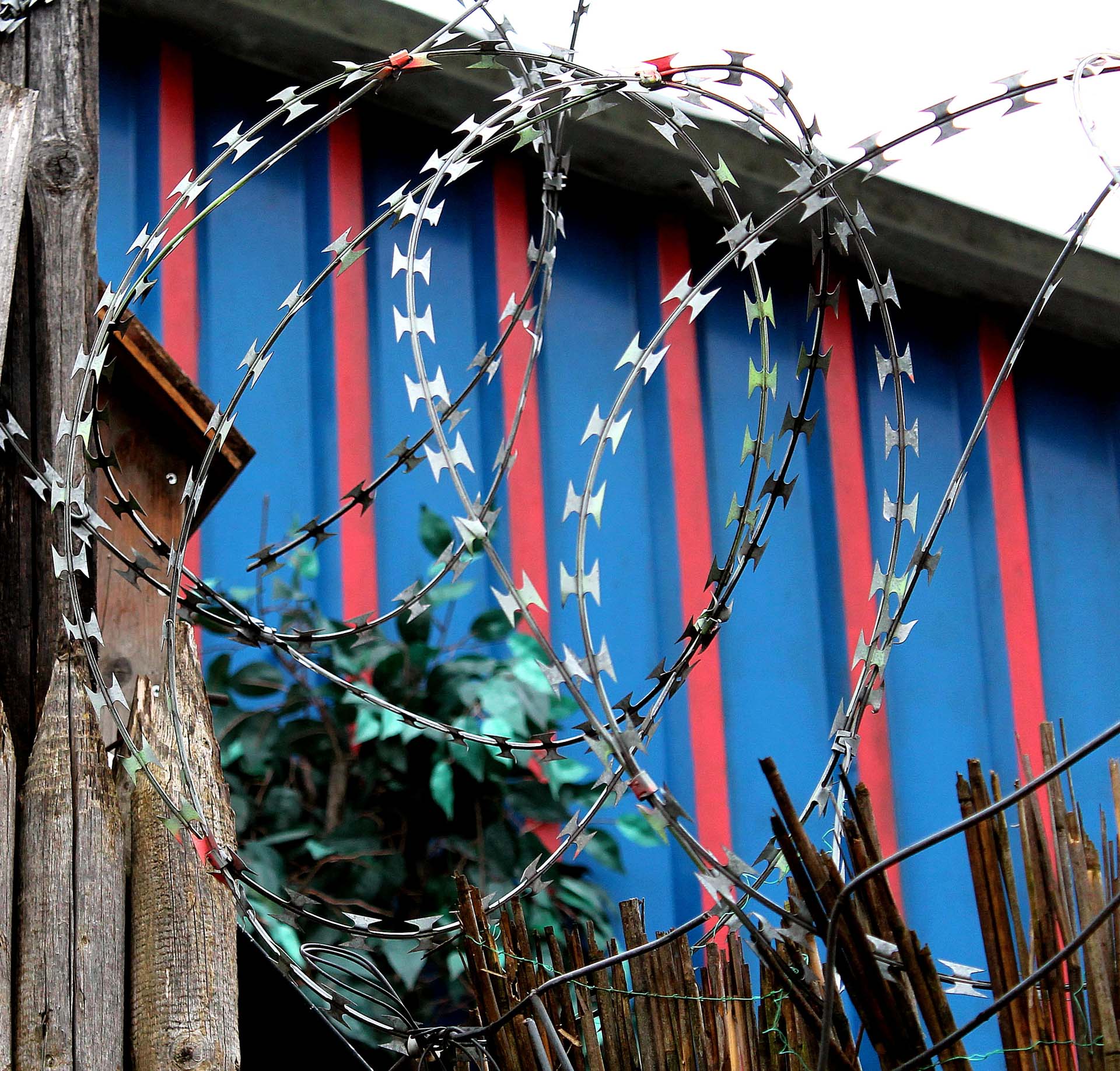 Foto: Heike Bornemann