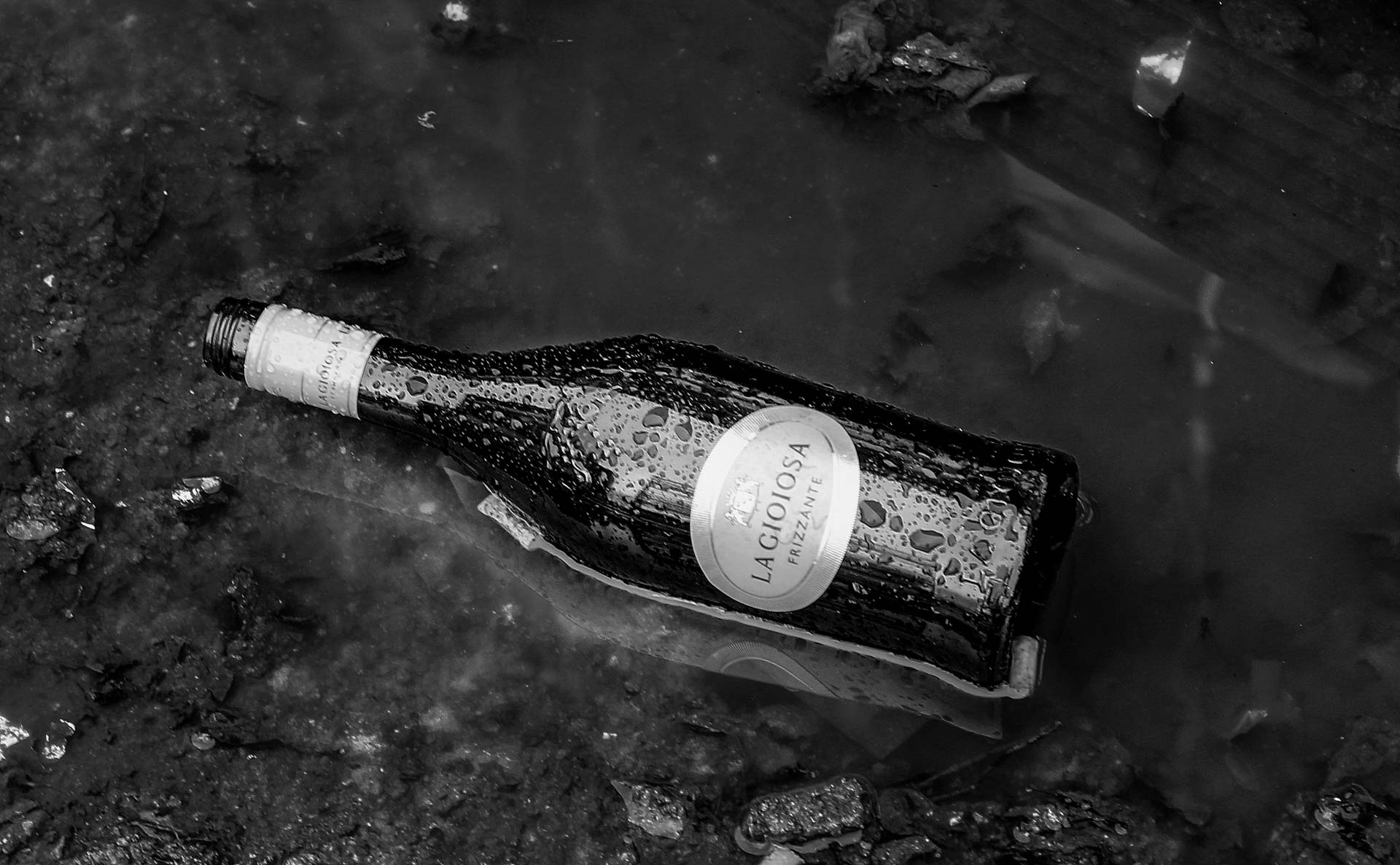 Foto: Heike Bornemann