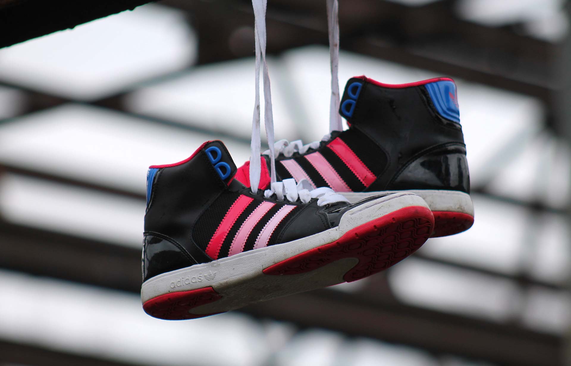 Foto: Heike Bornemann