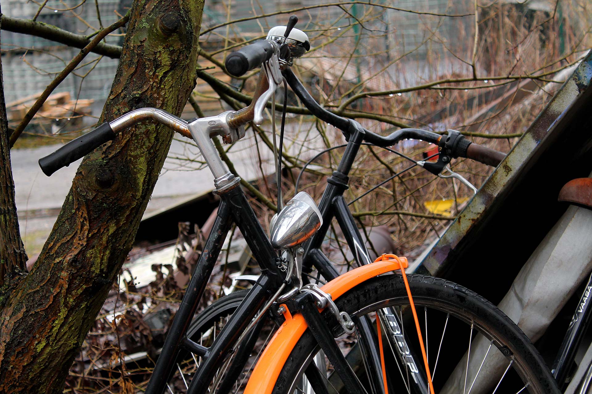 Foto: Heike Bornemann