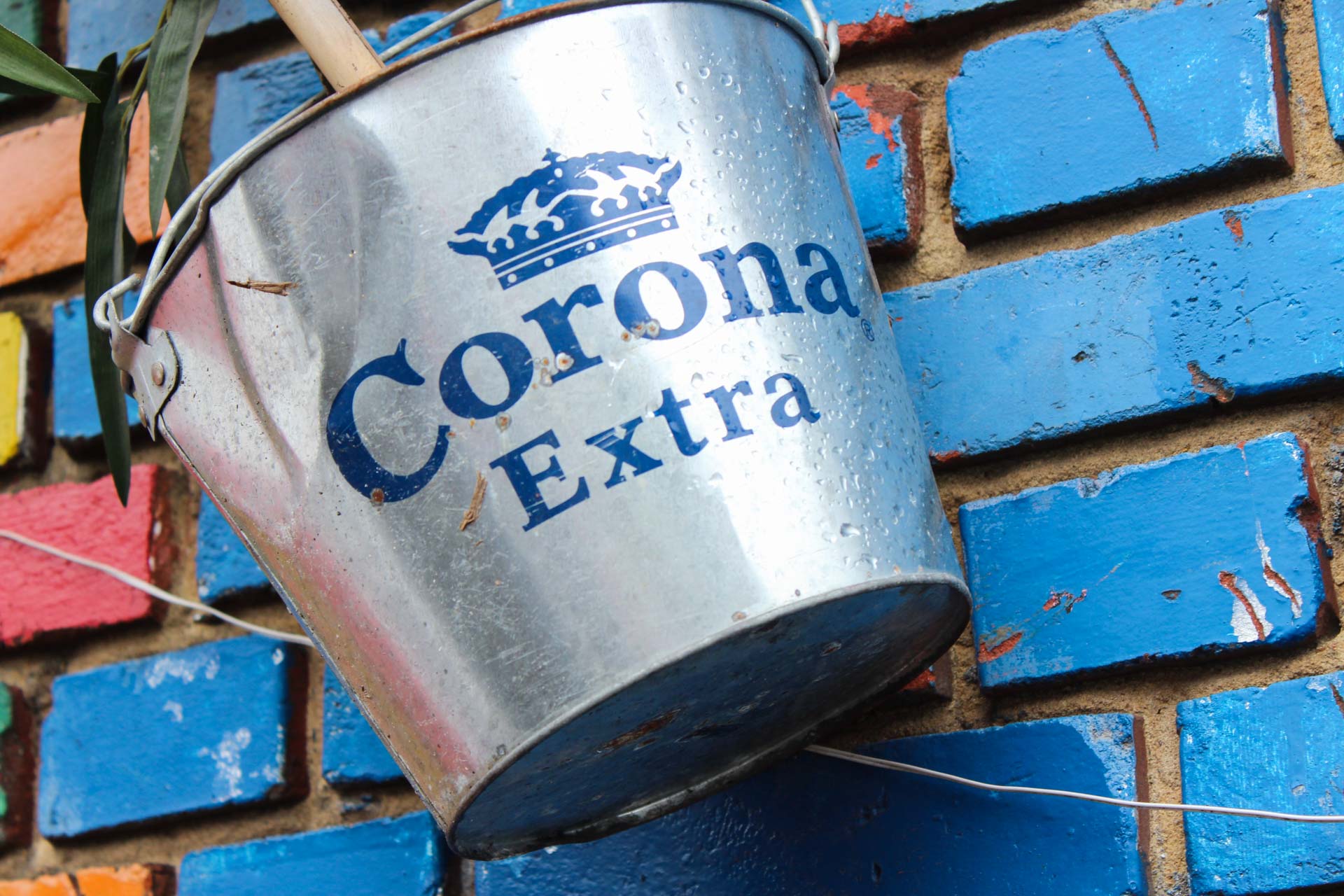 Foto: Andreas Peters