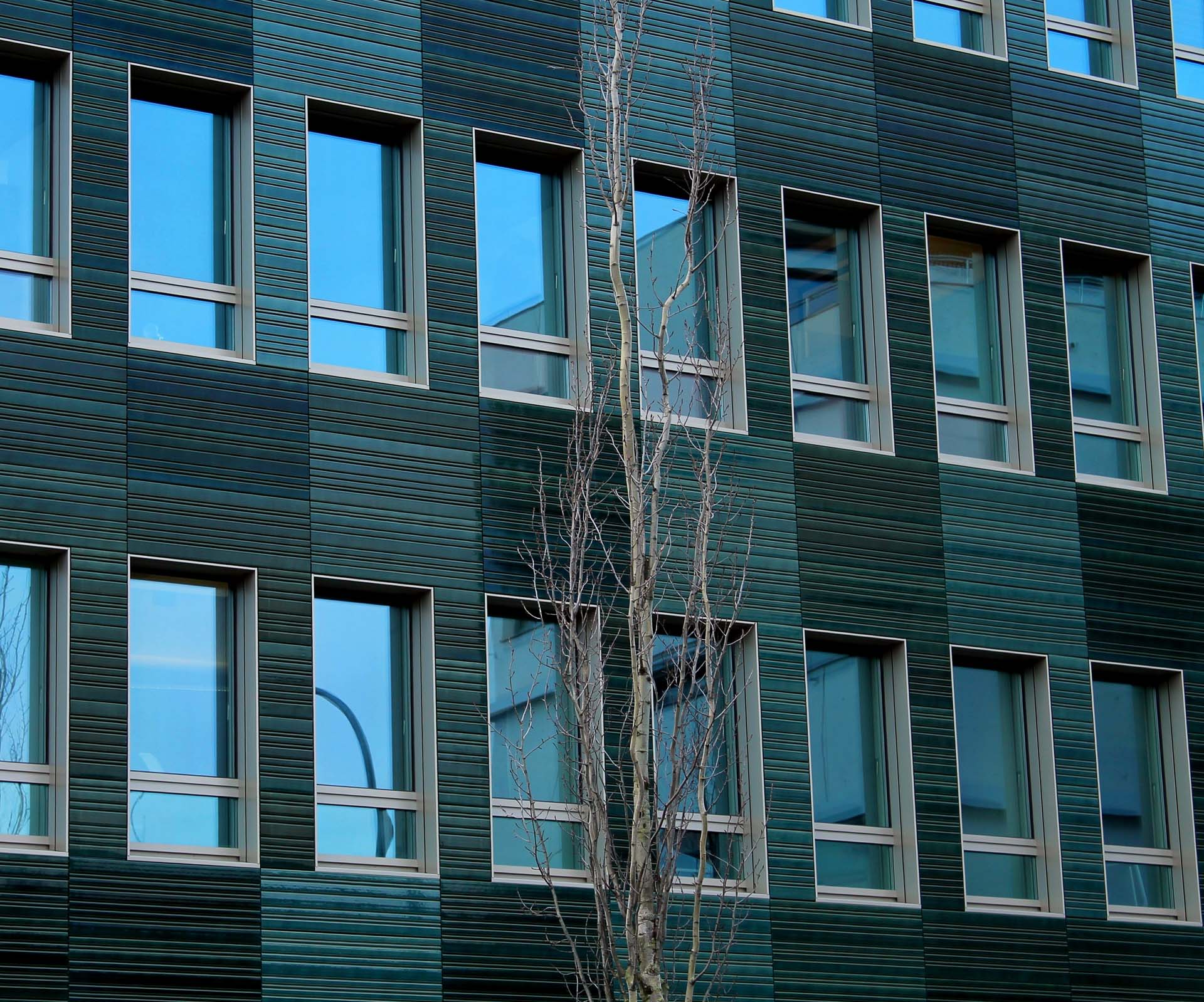 Foto: Heike Bornemann