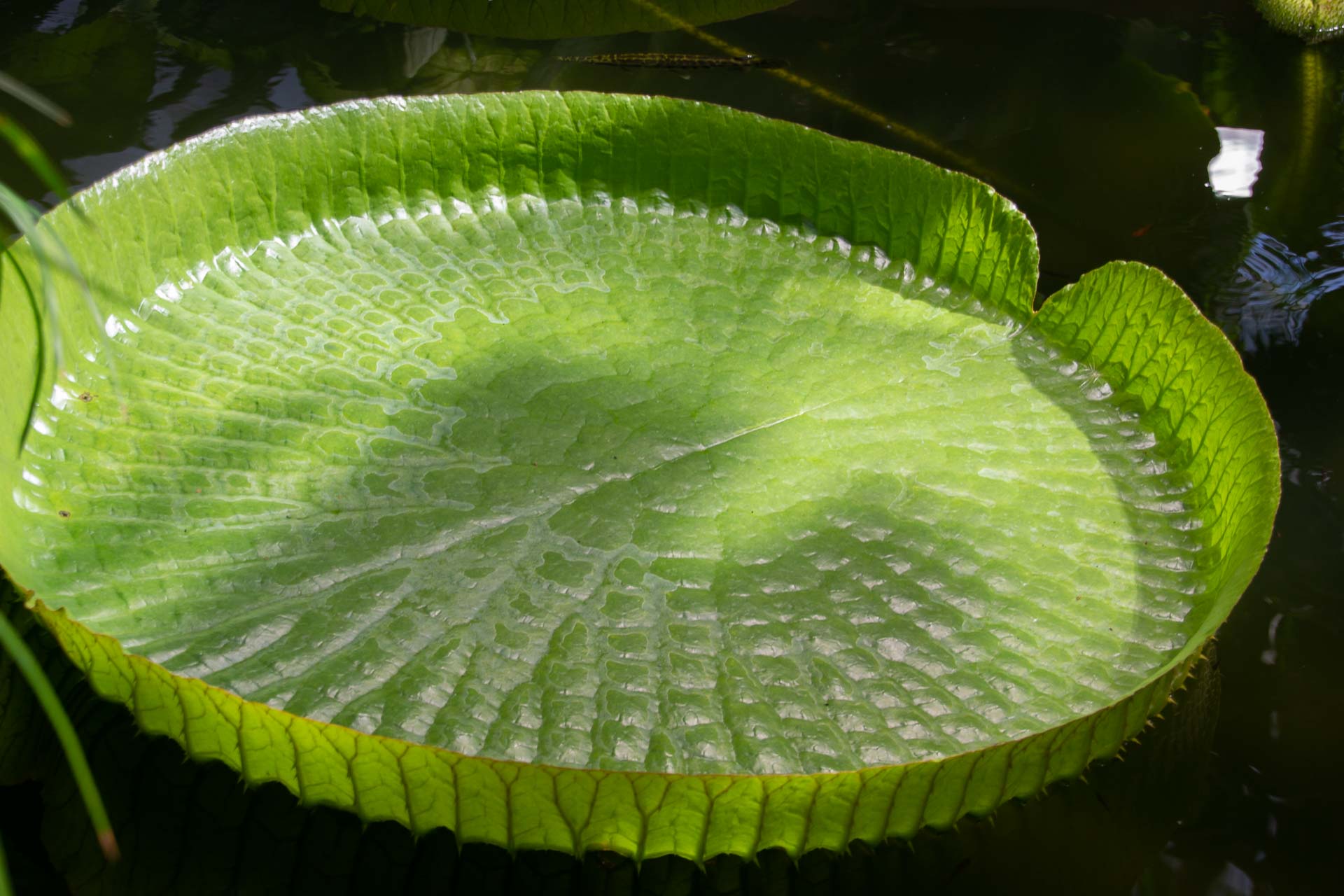 Foto: Susanne Falkenburg