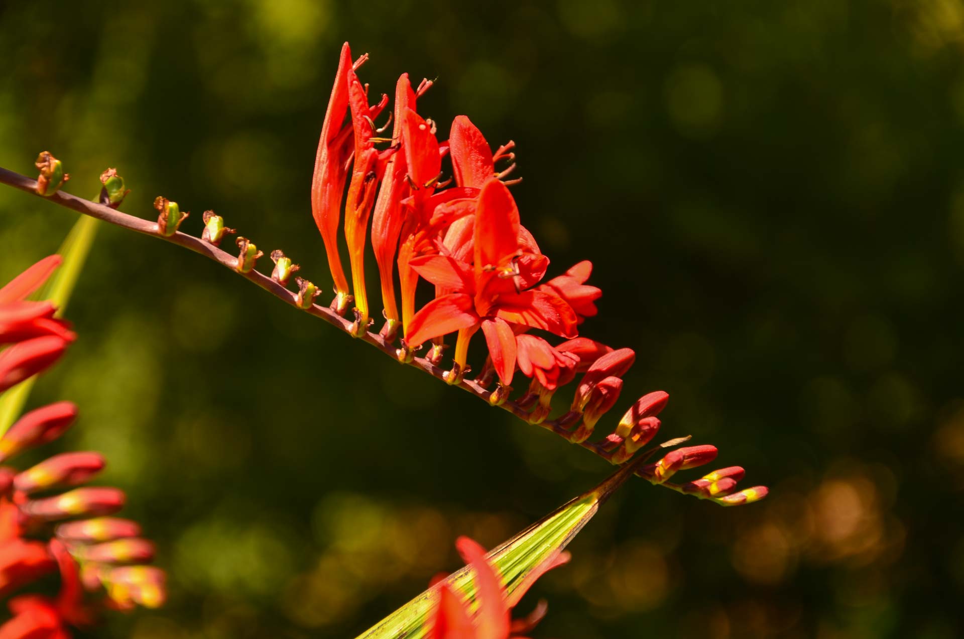 Foto: Bärbel Supthut