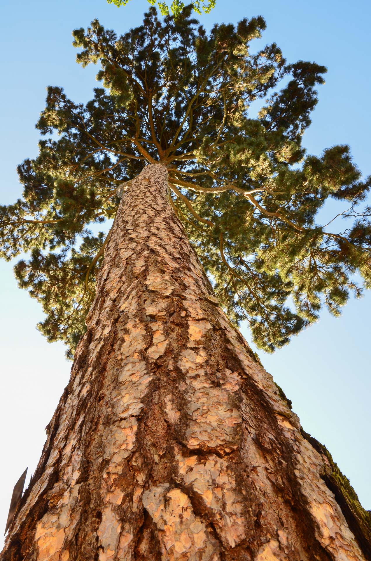 Foto: Bärbel Supthut