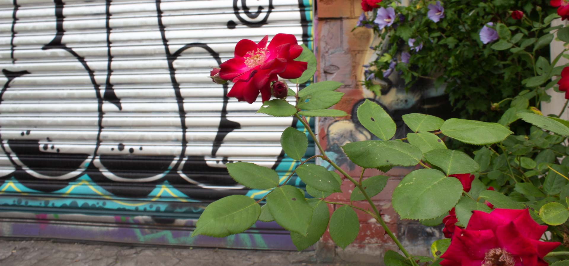 Foto: Boris Buchheit