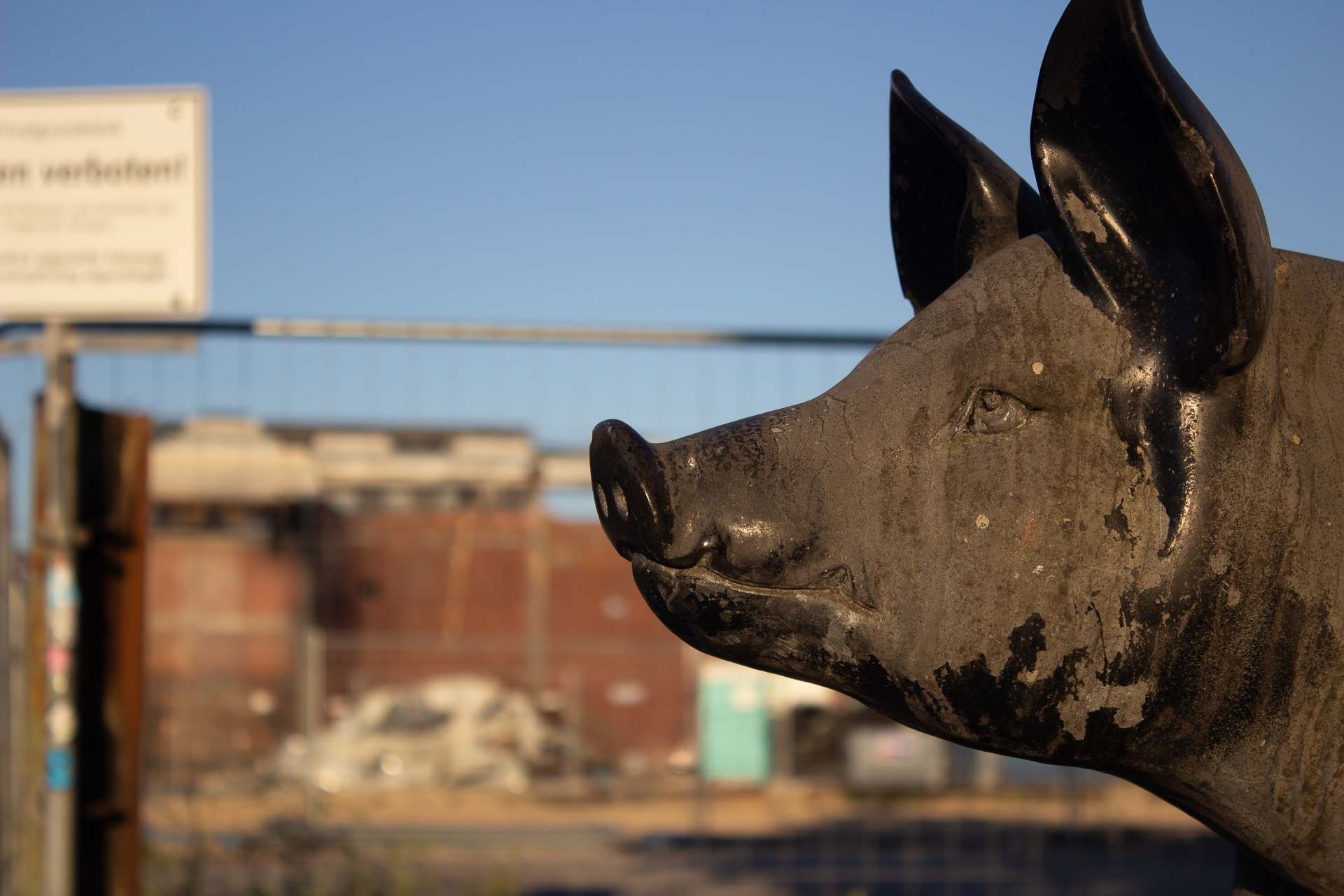 Foto: Boris Buchheit