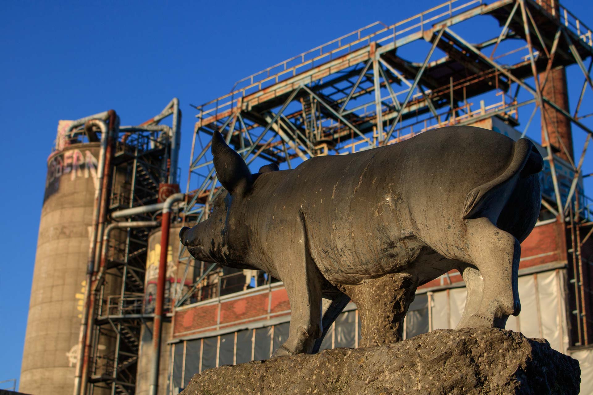 Foto: Bjoern Andersen