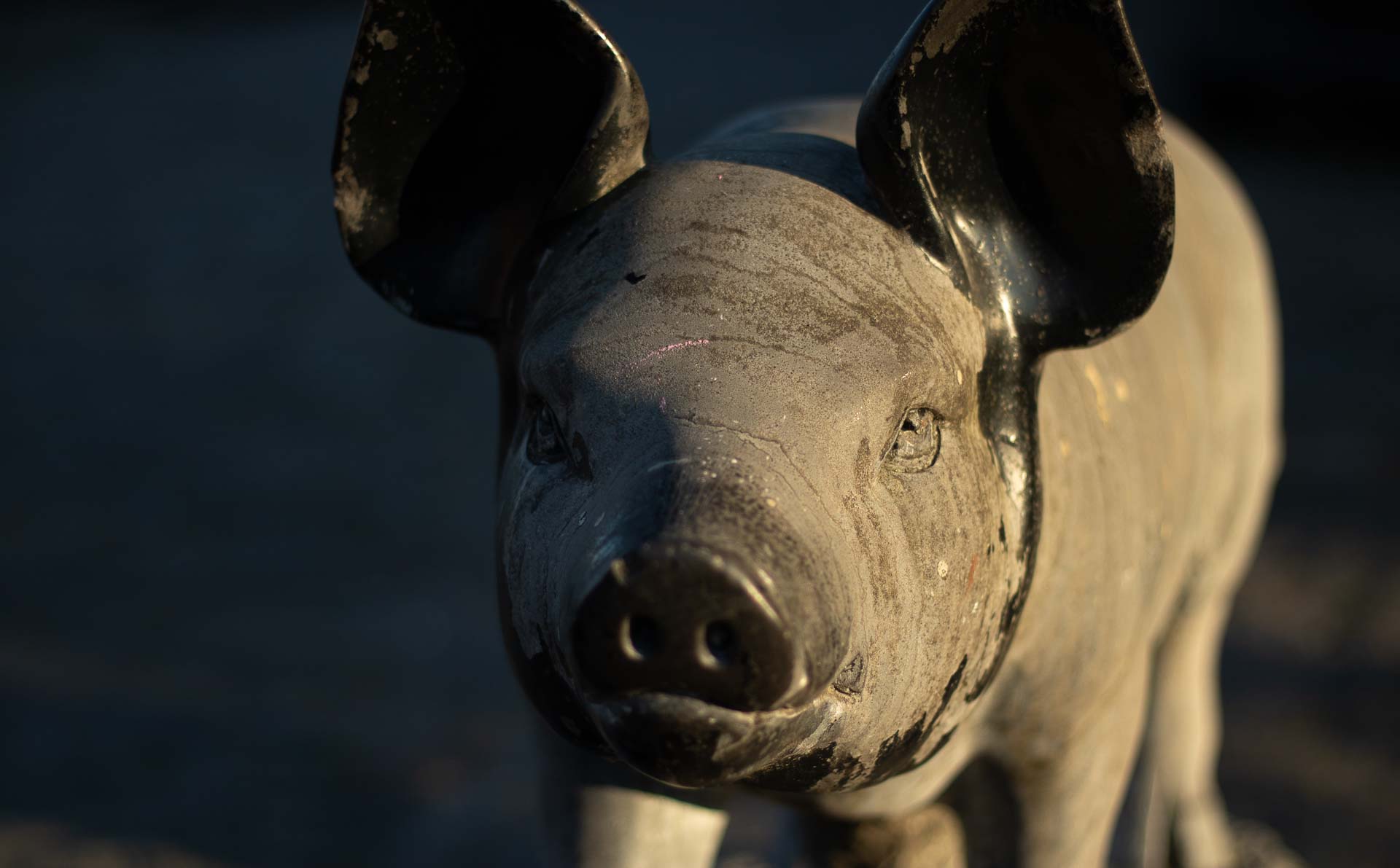 Foto: Bjoern Andersen