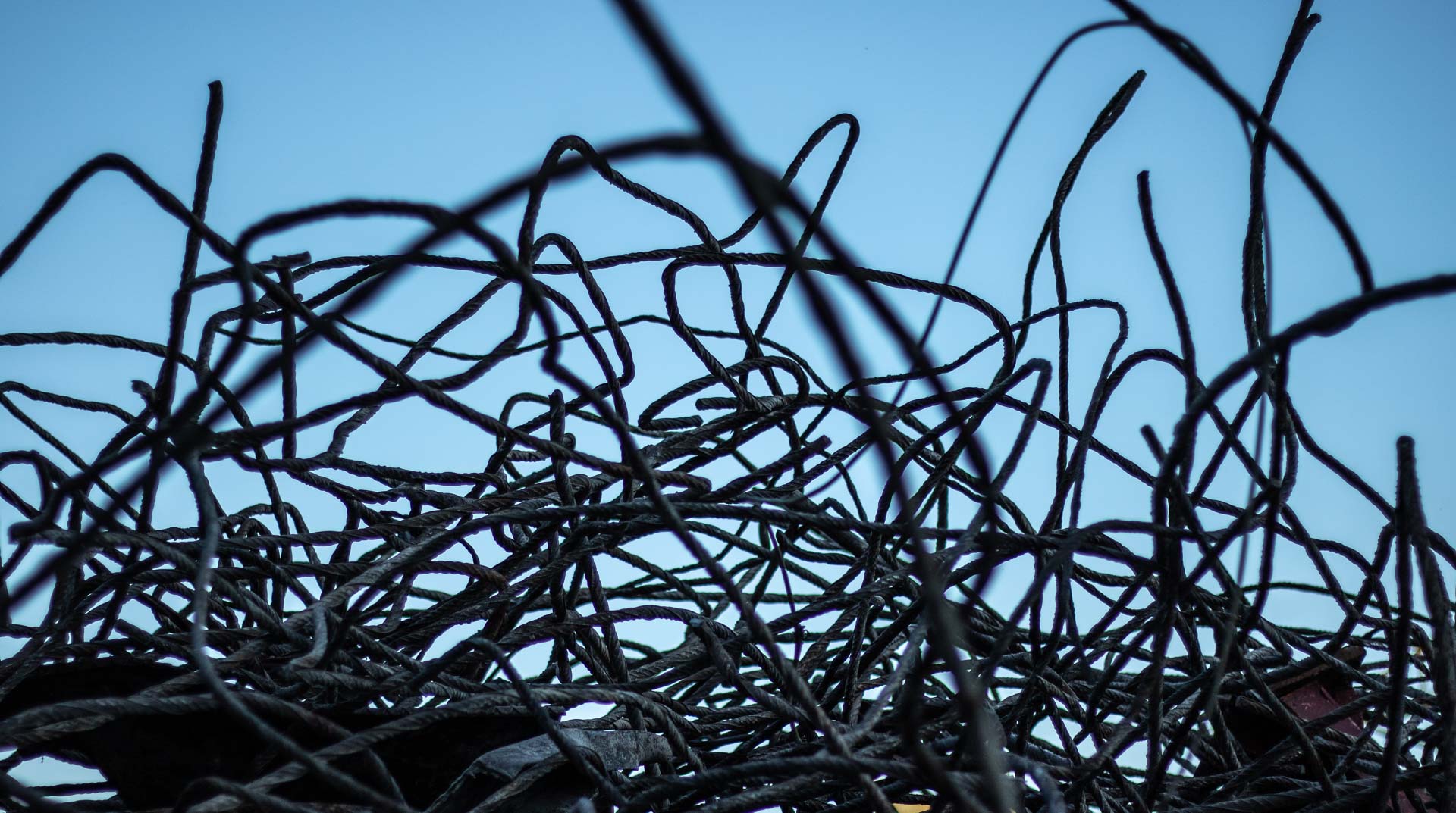 Foto: Bjoern Andersen