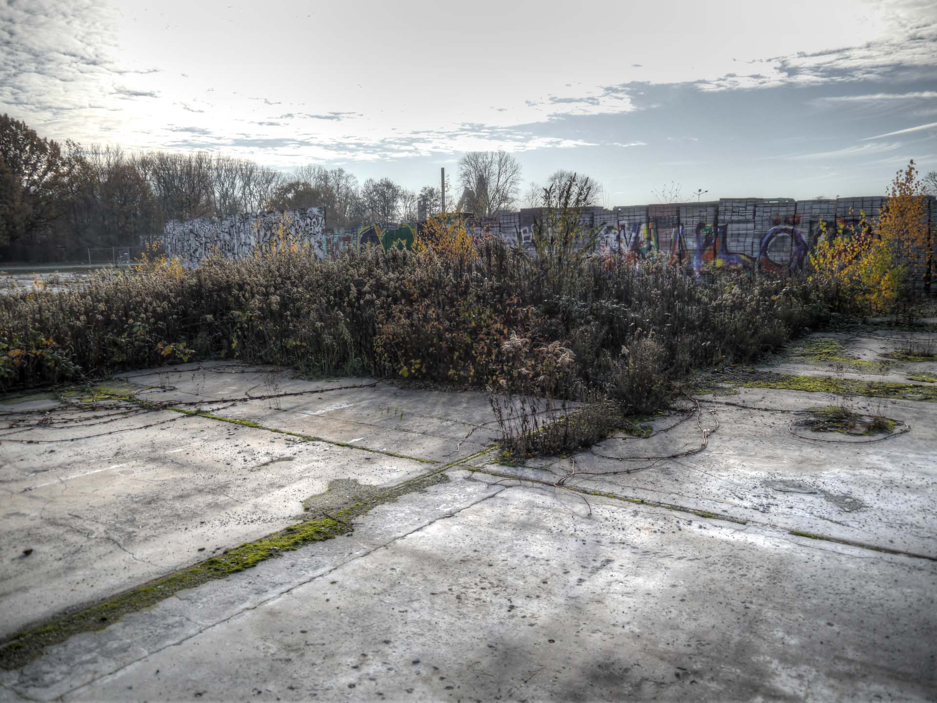 Foto: Rüdiger Ellebracht