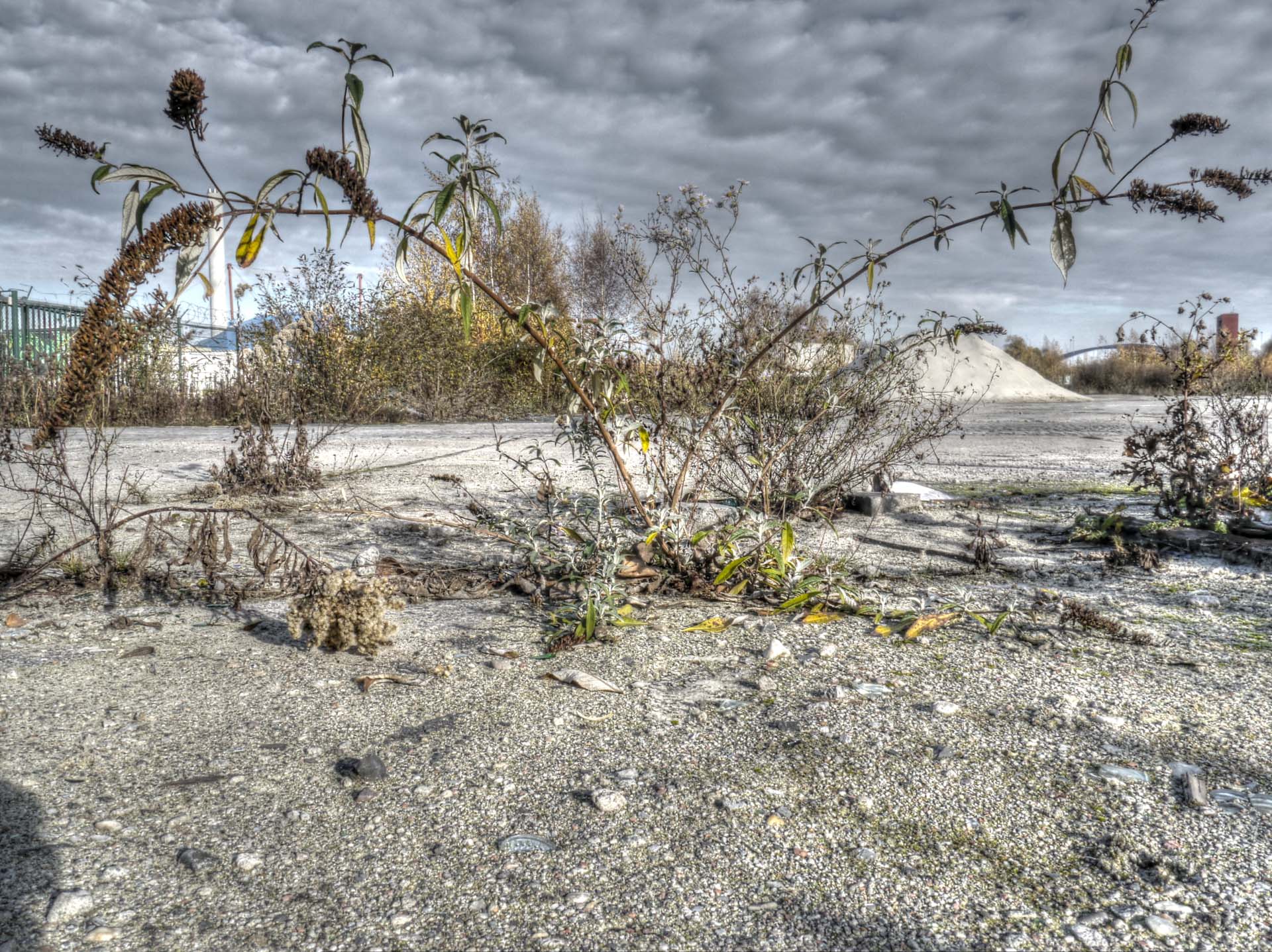 Foto: Rüdiger Ellebracht