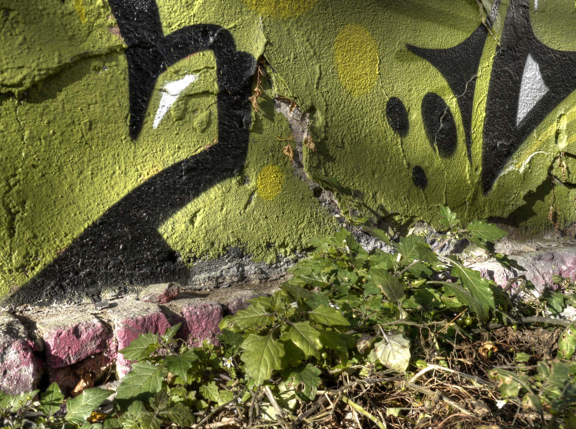 Foto: Rüdiger Ellebracht