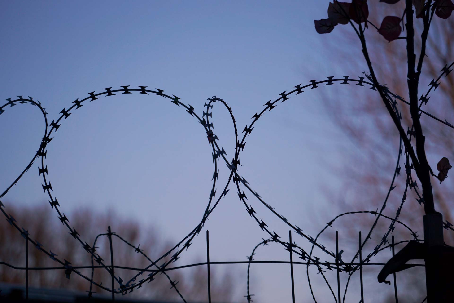 Foto: Andrea Volbracht