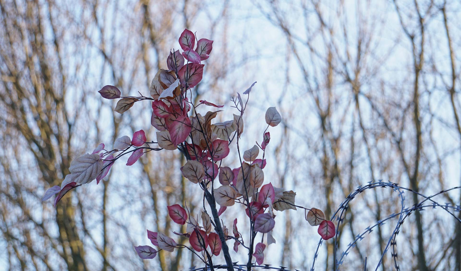 Foto: Andrea Volbracht