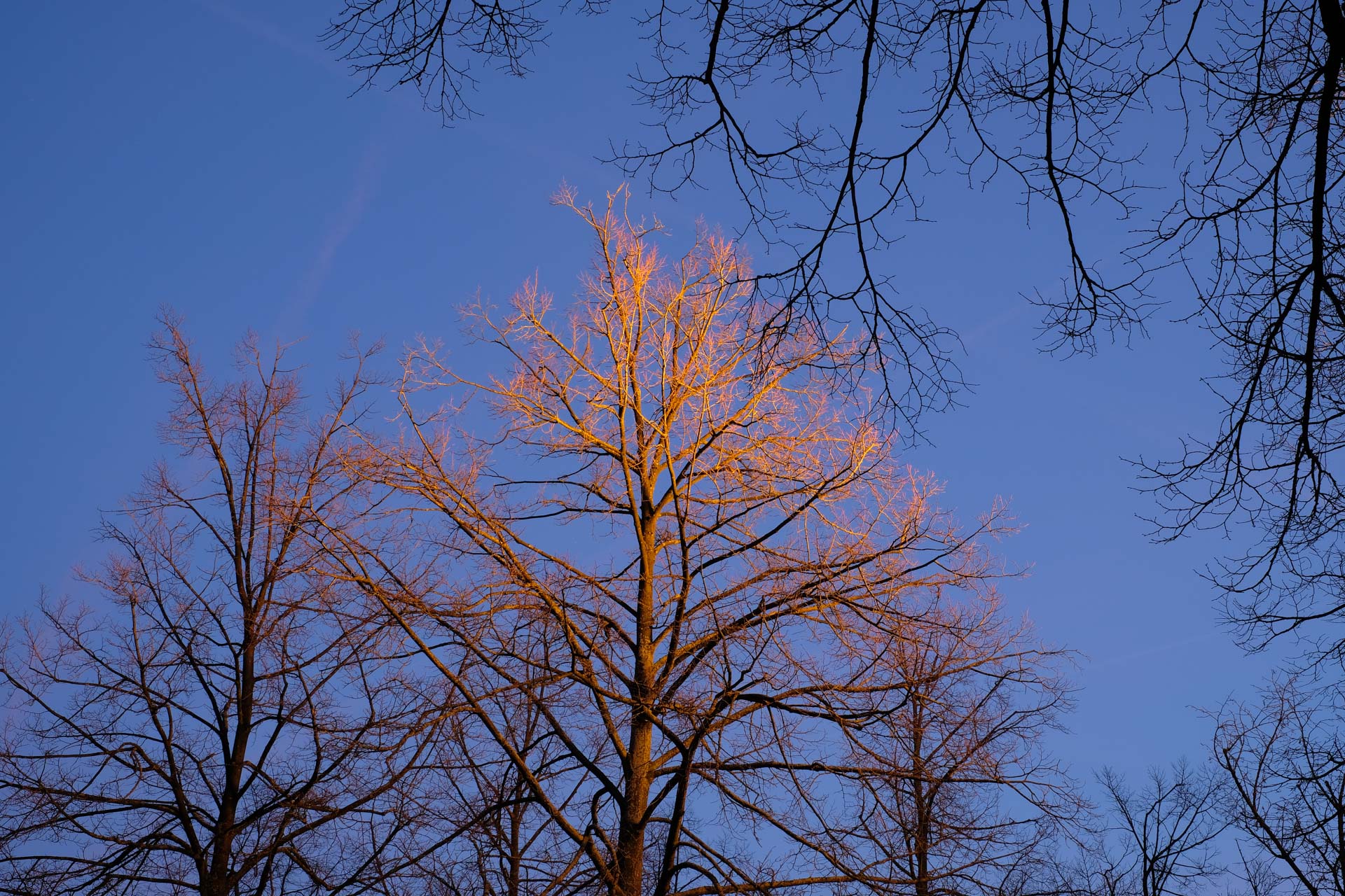 Foto: Dilyara Salivanova