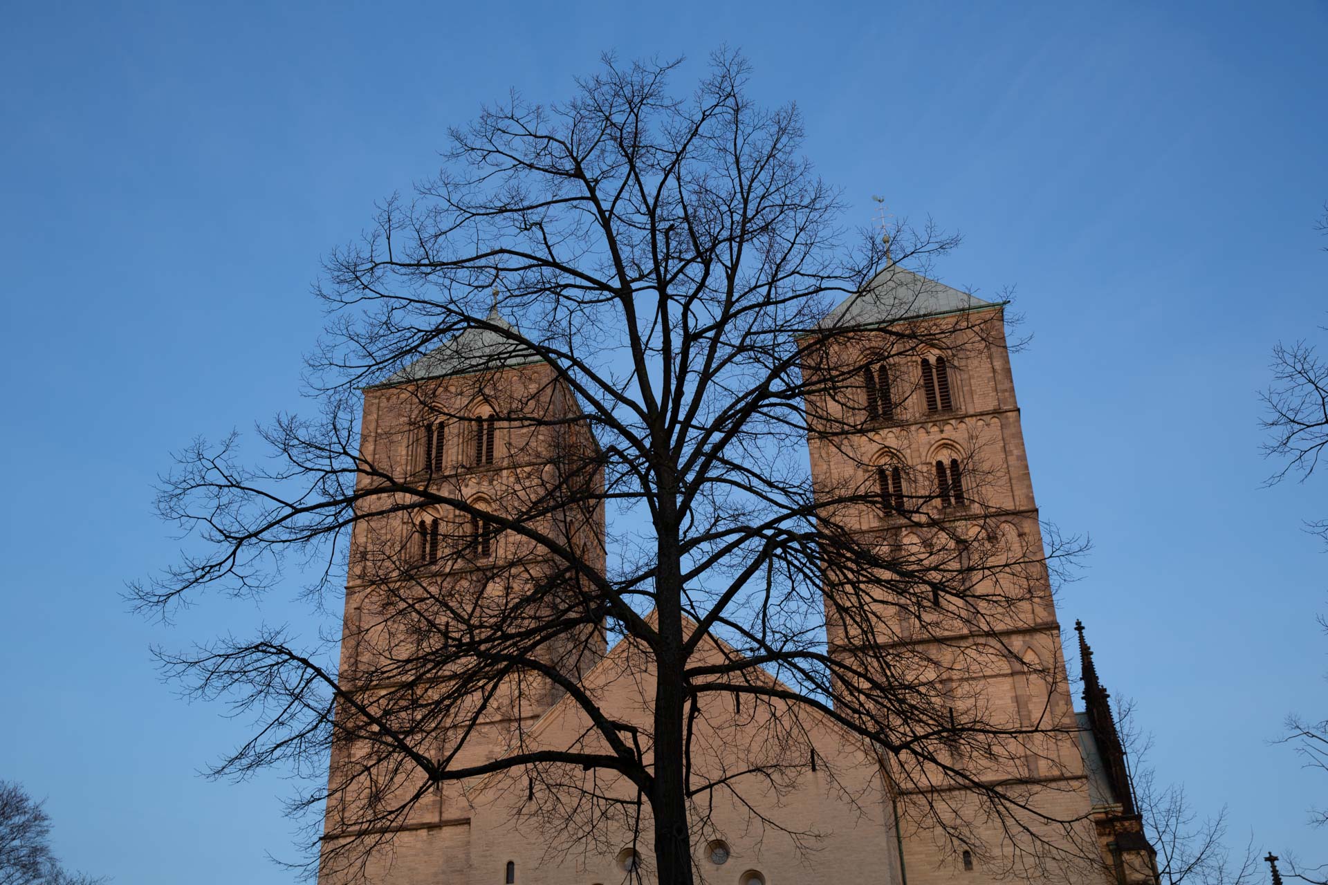 Foto: Friedhelm Kuhlmann