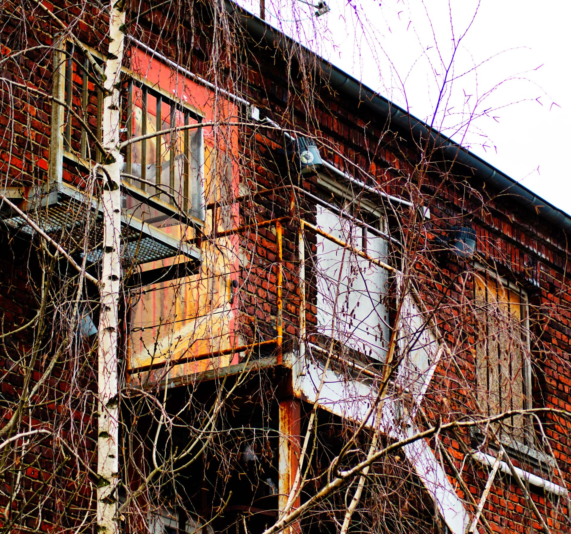 Foto: Stefanie Berns