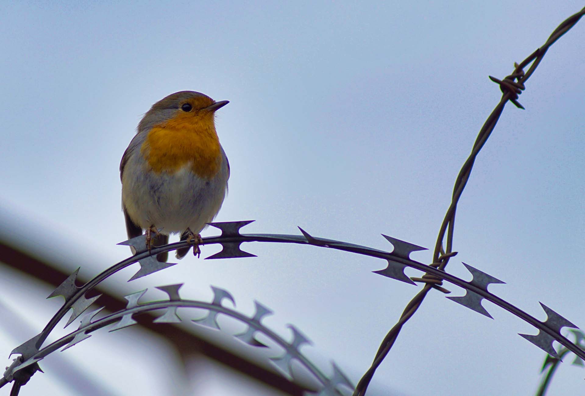 Foto: Stefanie Berns