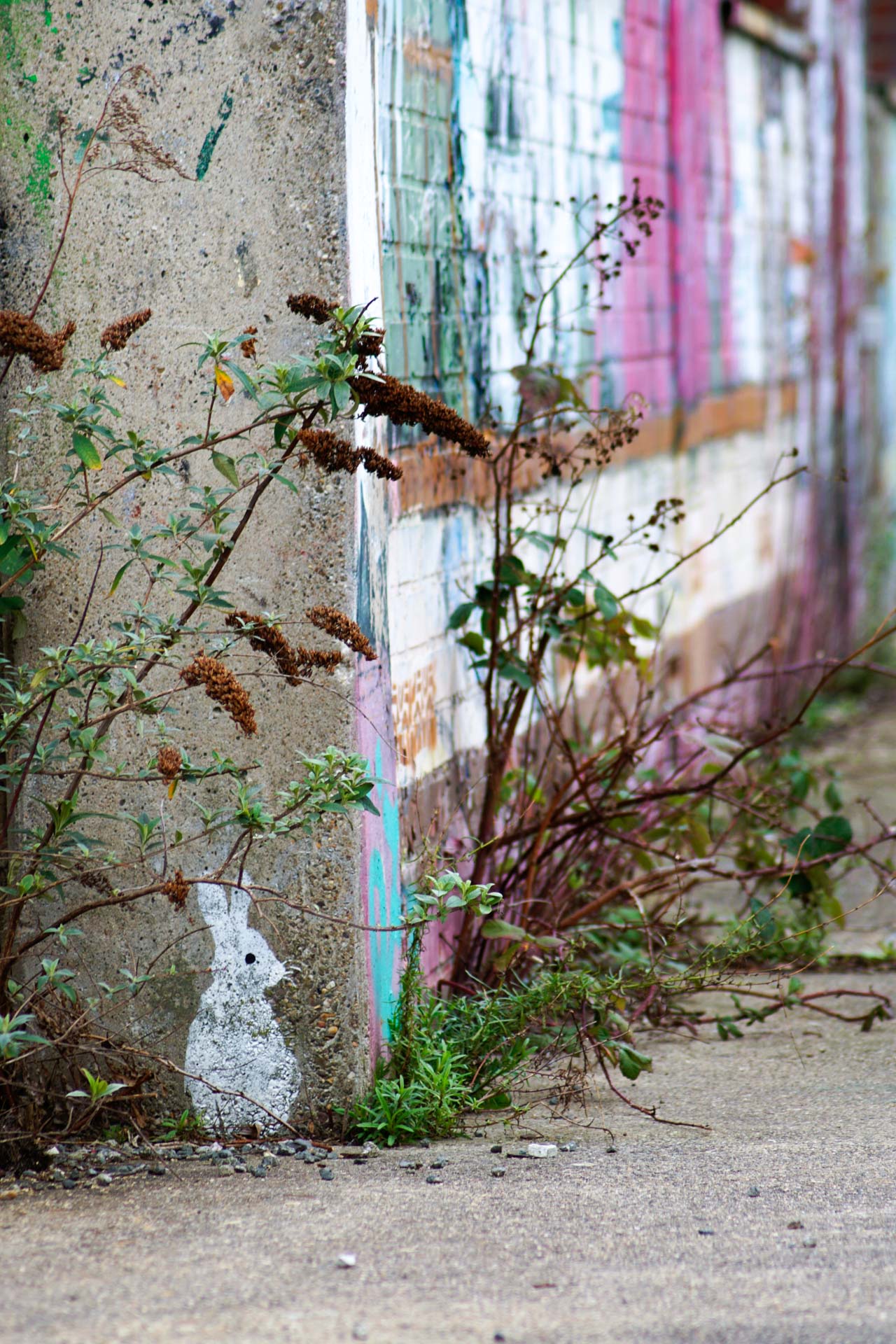 Foto: Stefanie Berns