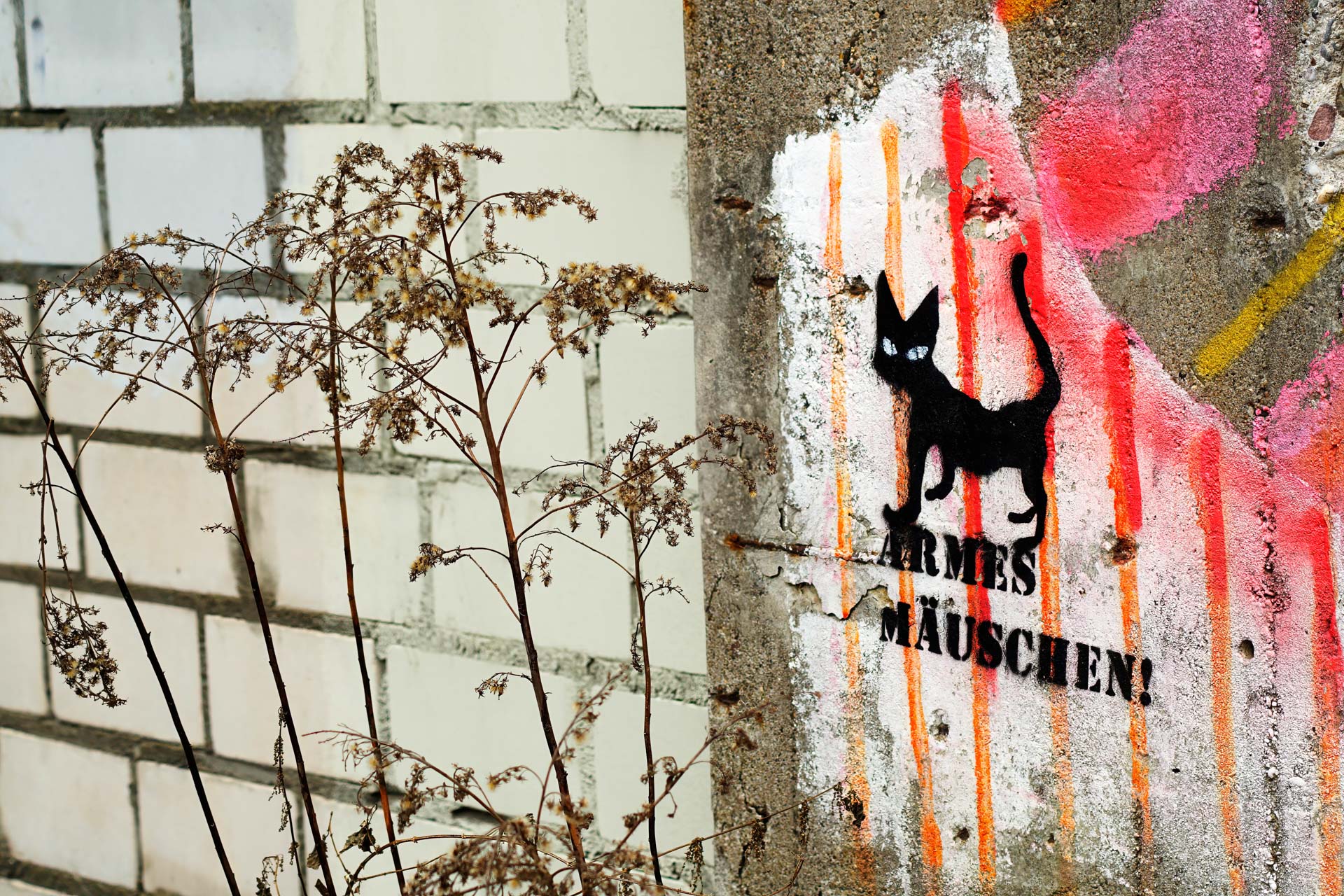 Foto: Stefanie Berns