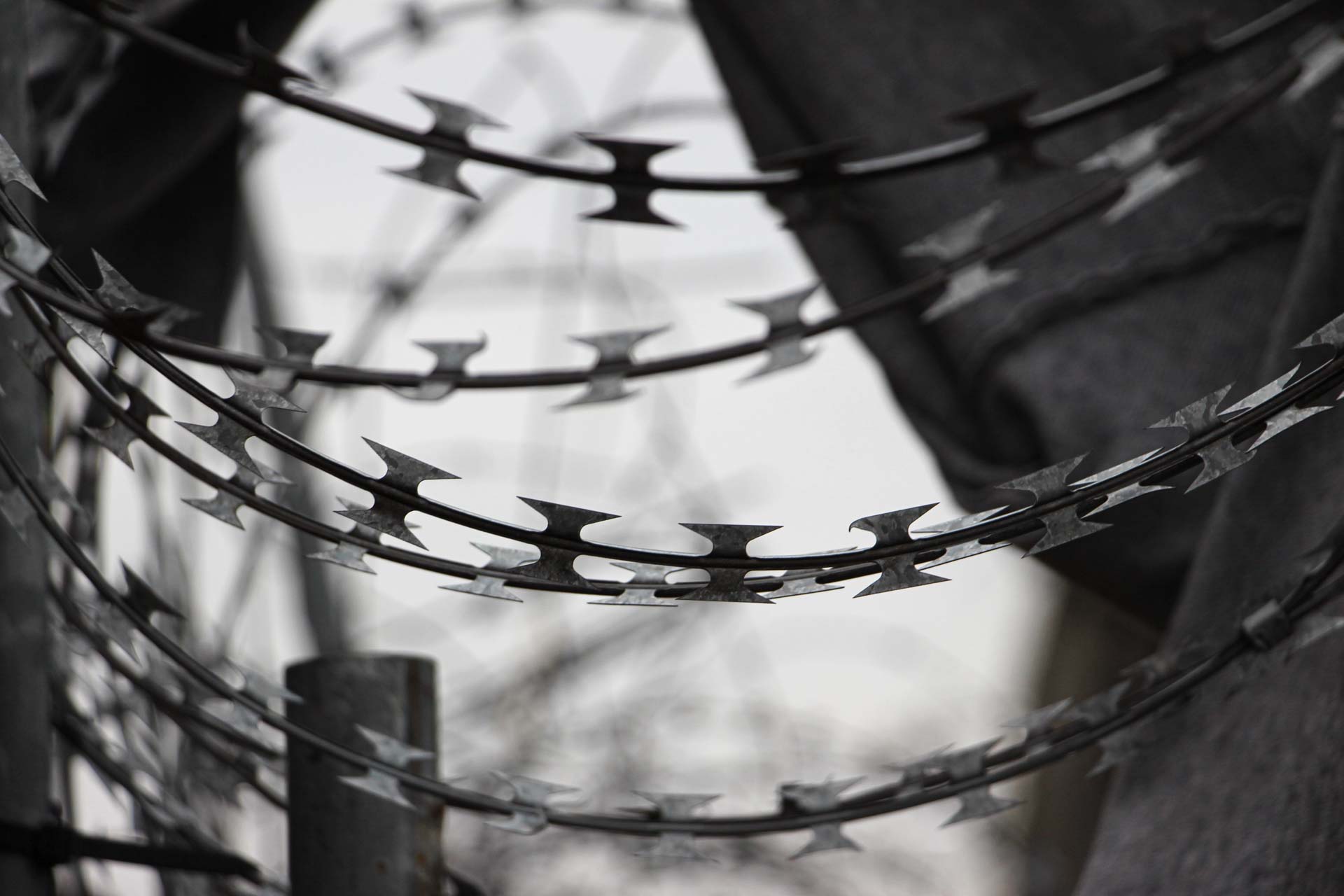 Foto: Ricarda Waltering