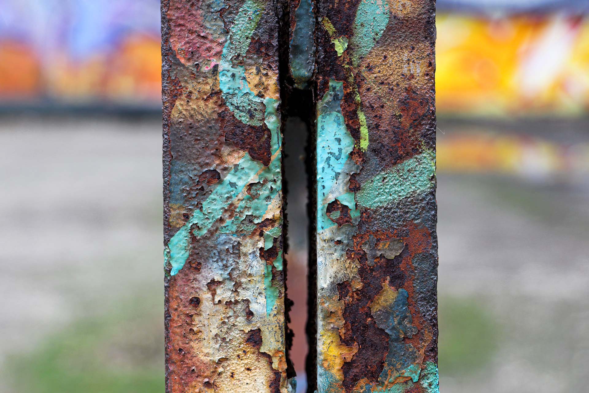 Foto: Ricarda Waltering