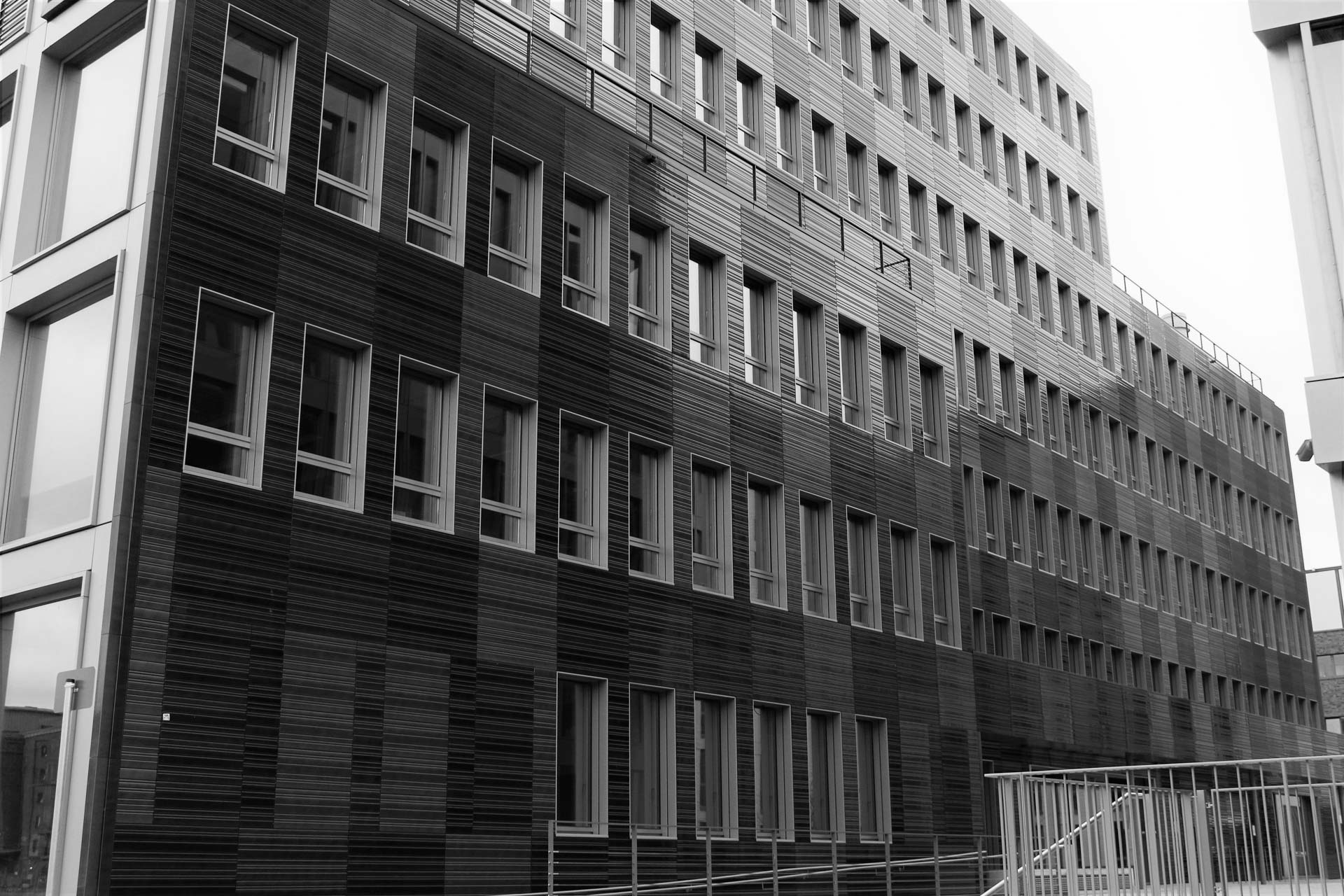 Foto: Radostina Zlatanova