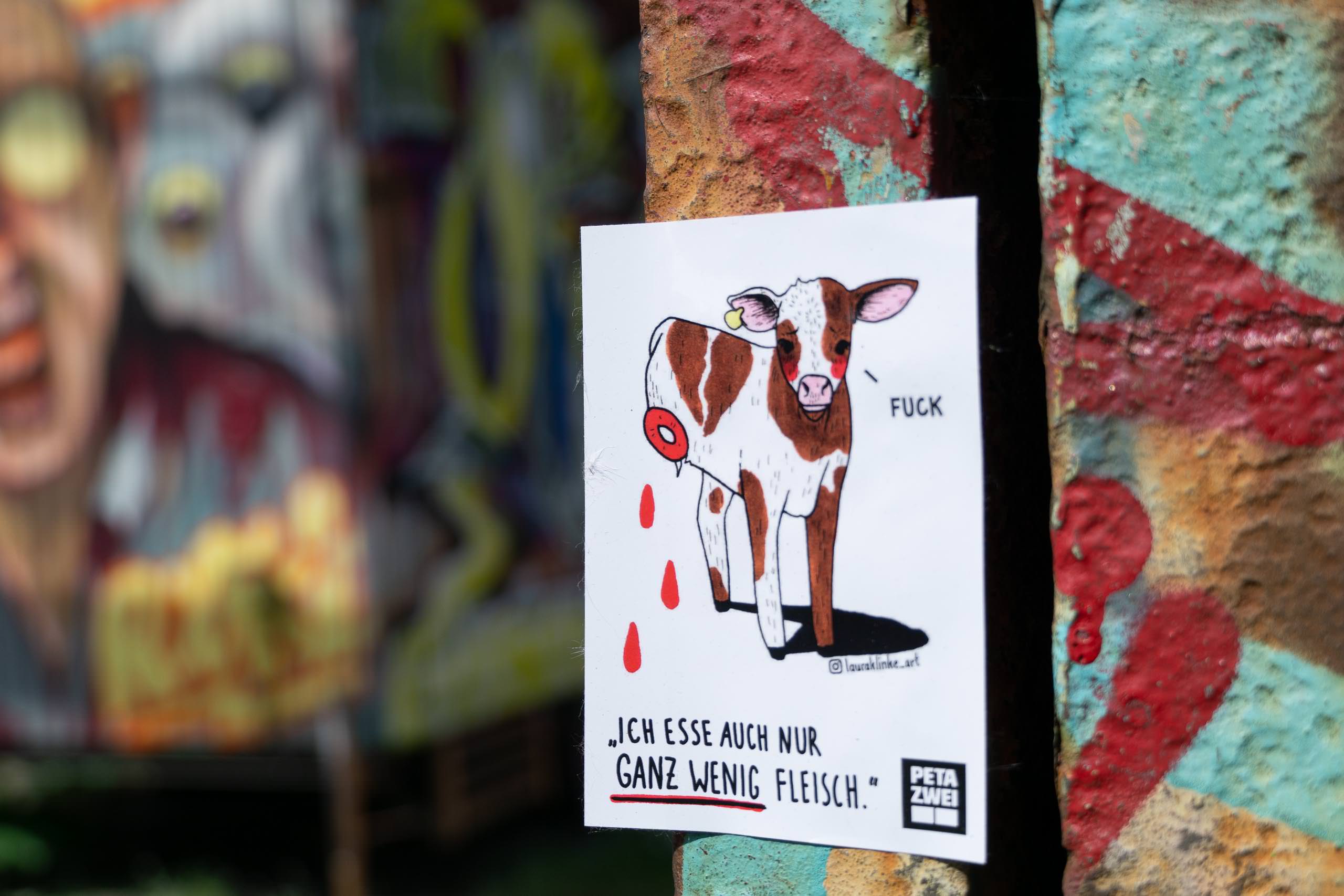 Foto: Mona Whitthake