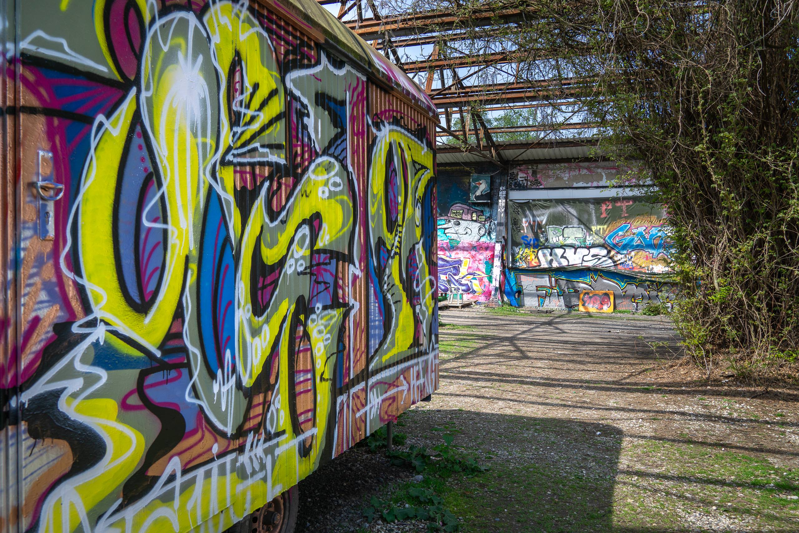 Foto: Mona Whitthake