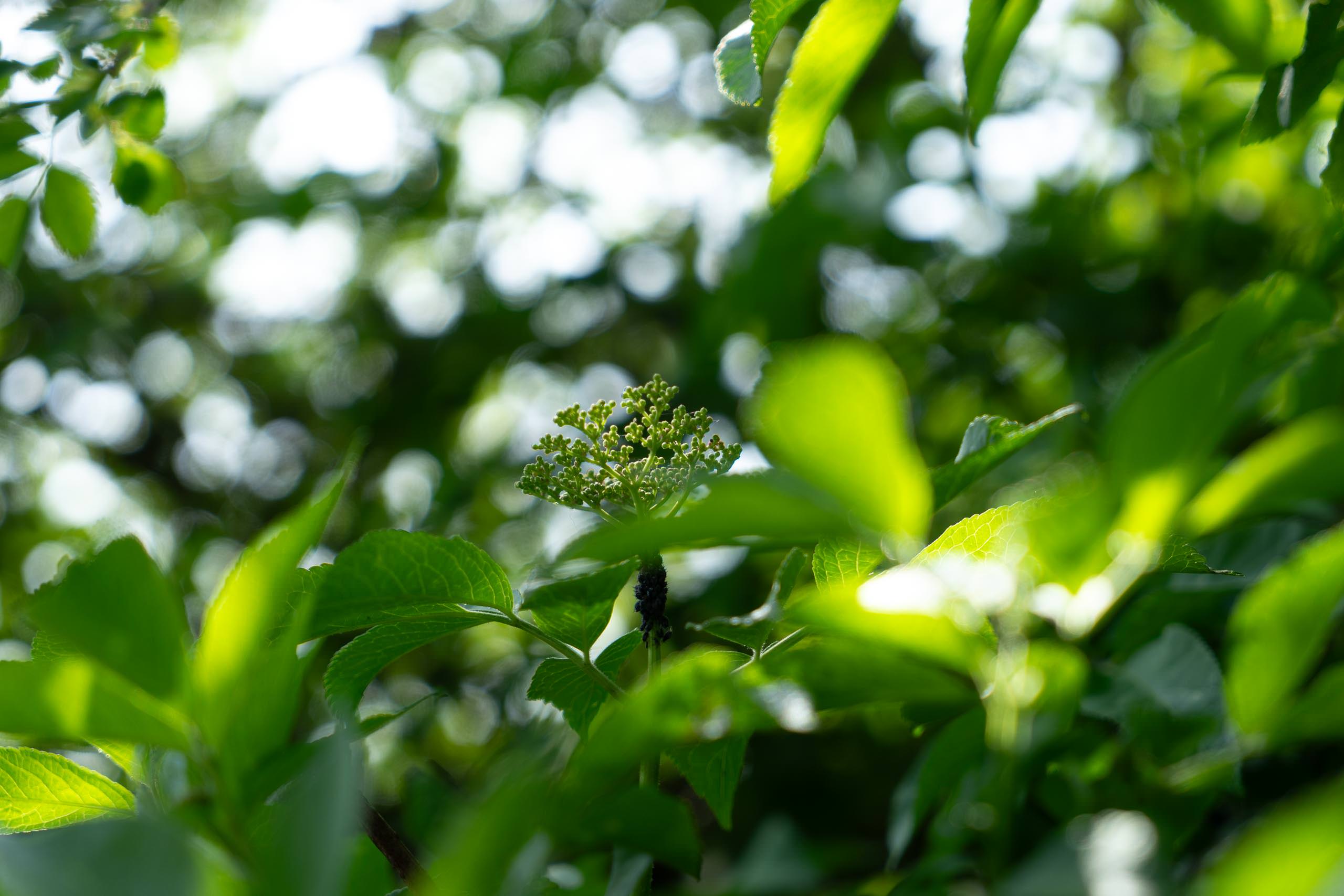 Foto: Monika Laukamp-Nordbeck