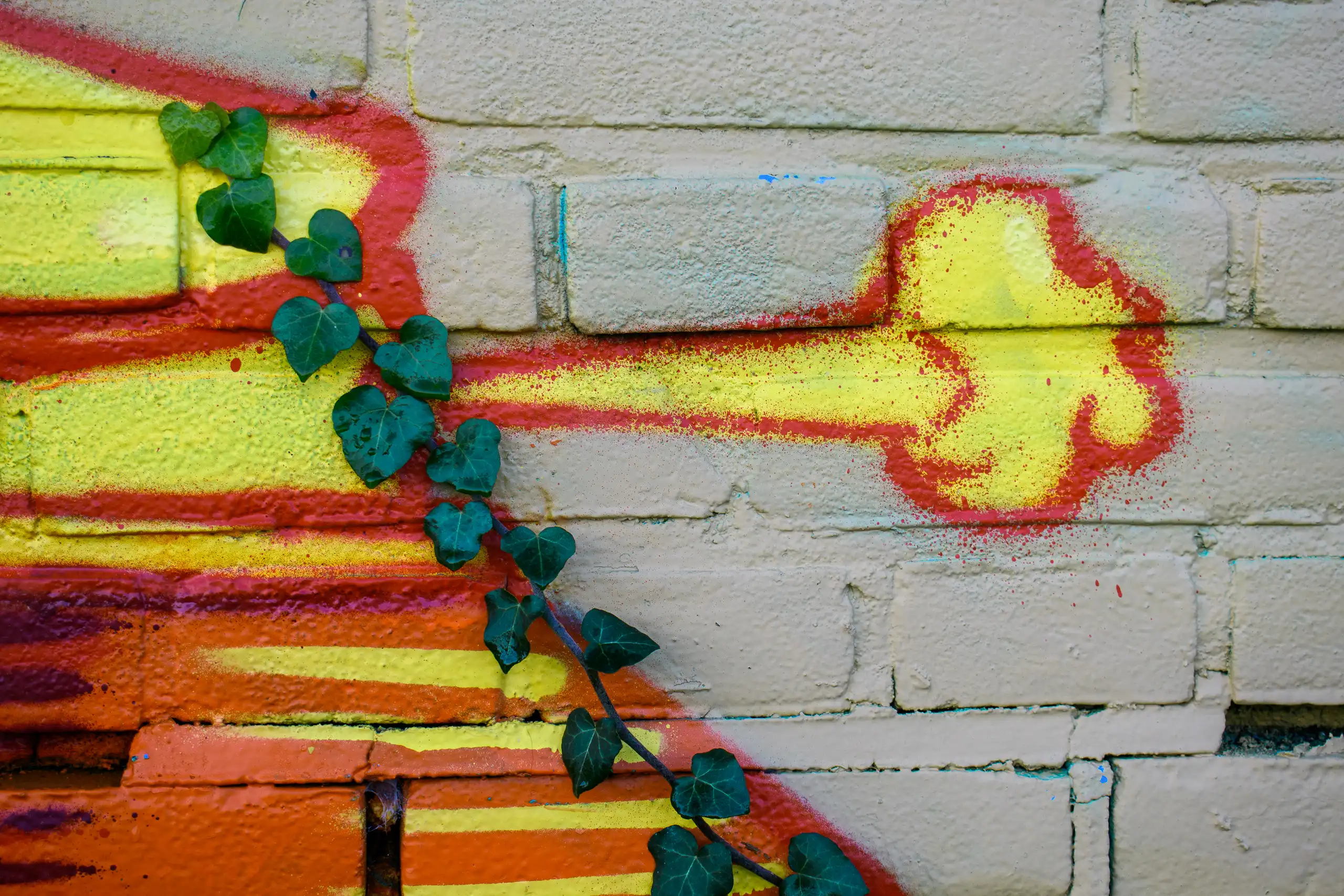 Foto: Roland Westerhoff