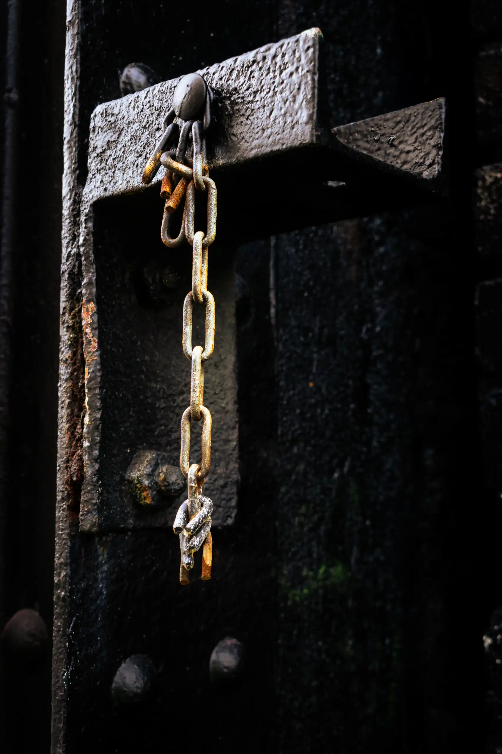 Foto: Roland Westerhoff