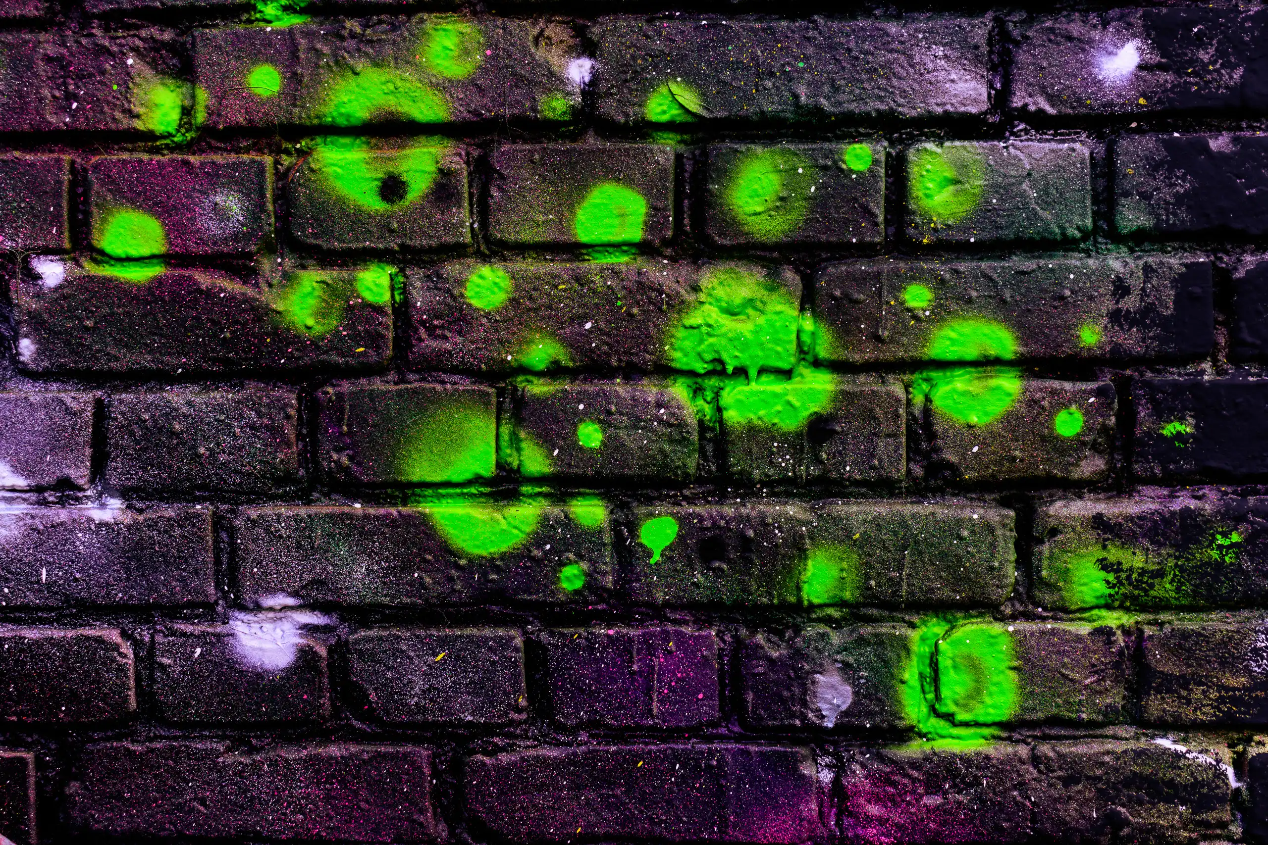 Foto: Roland Westerhoff