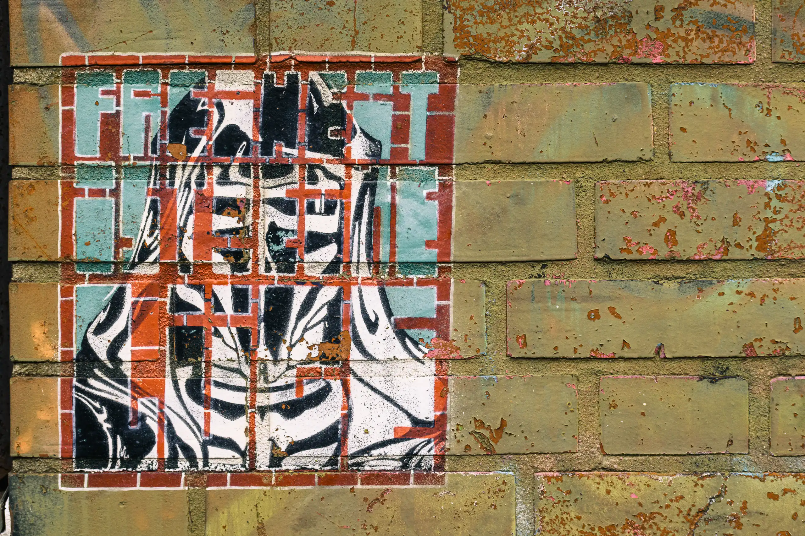 Foto: Roland Westerhoff