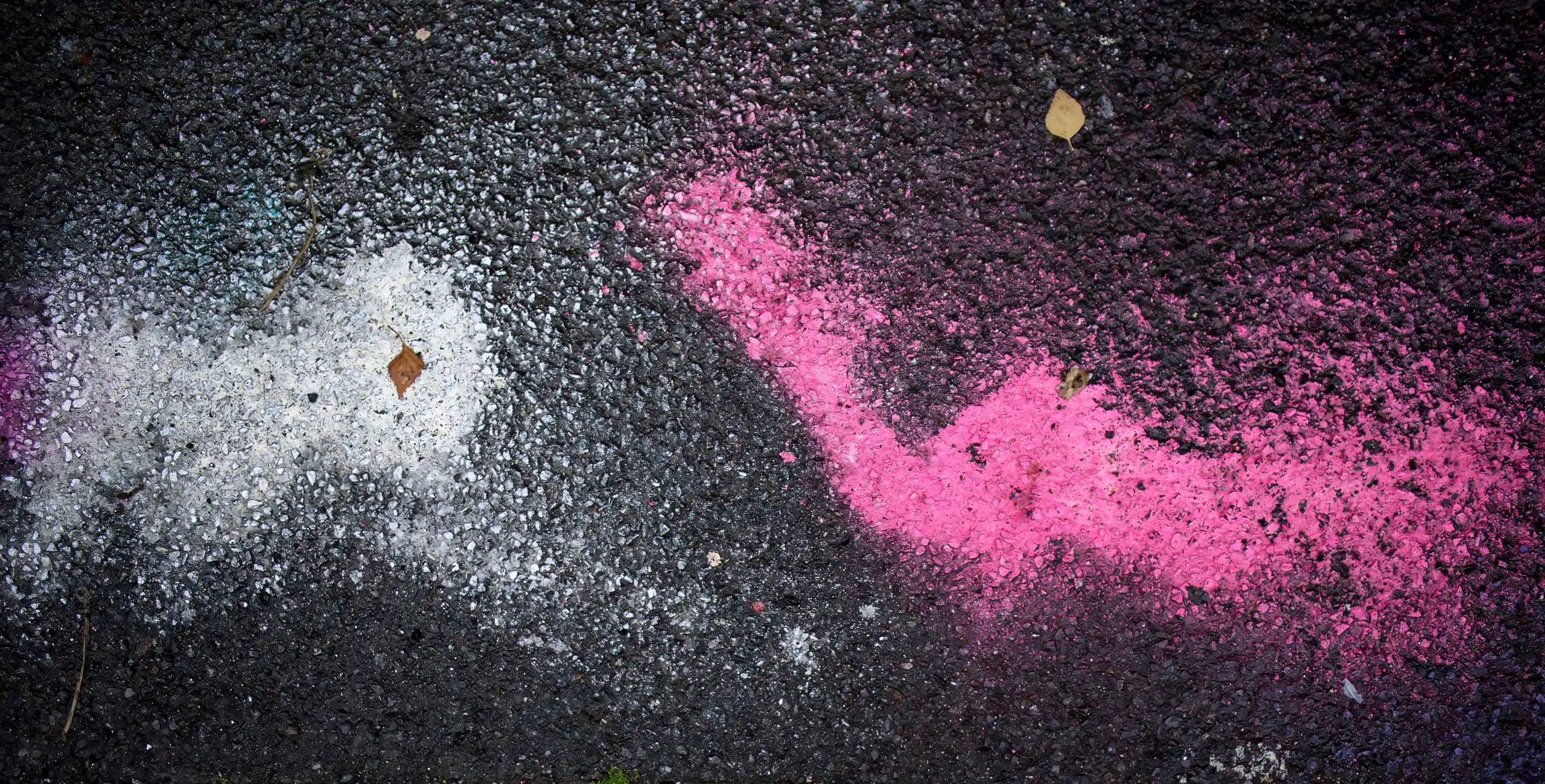 Foto: Mona Grunewald