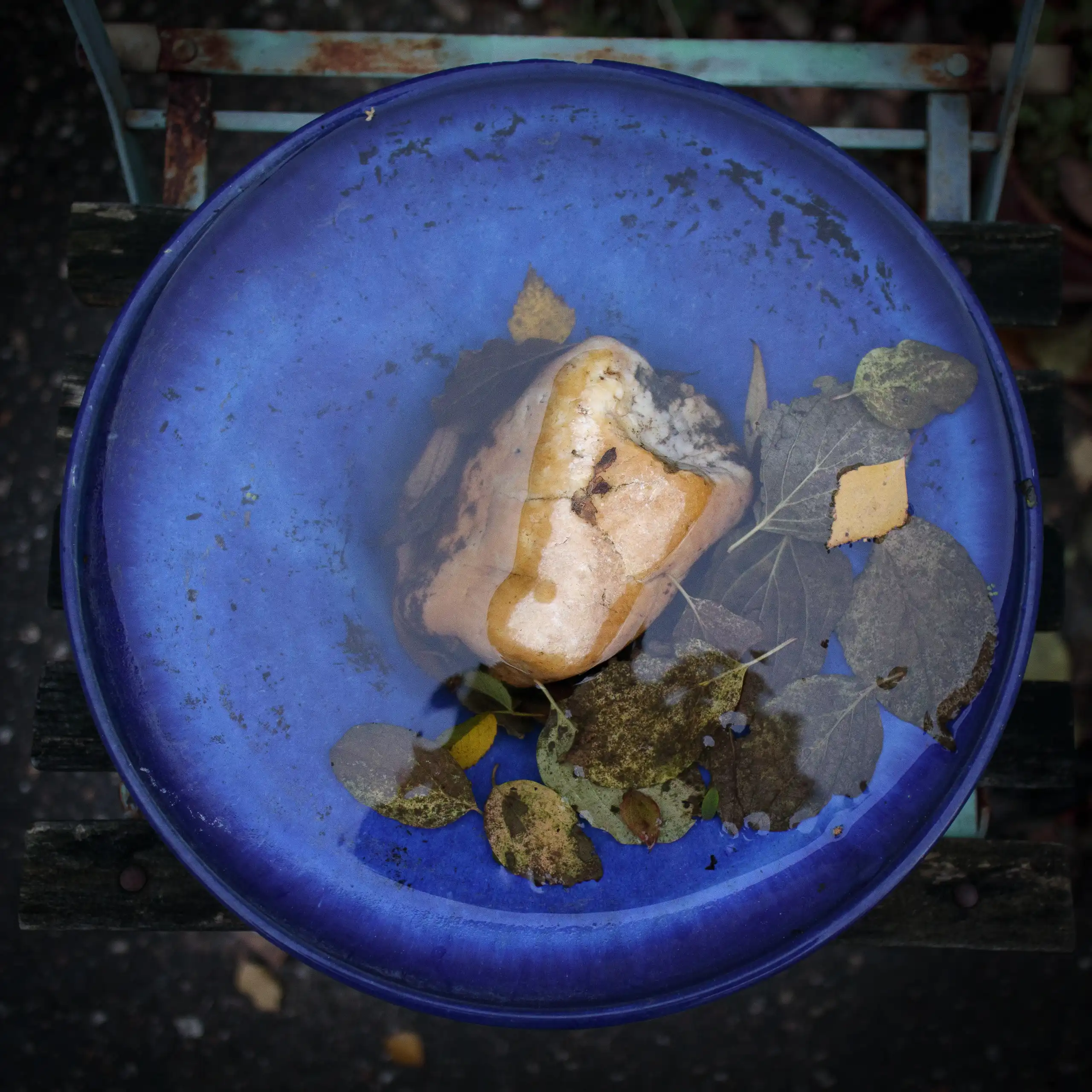 Foto: Mona Grunewald