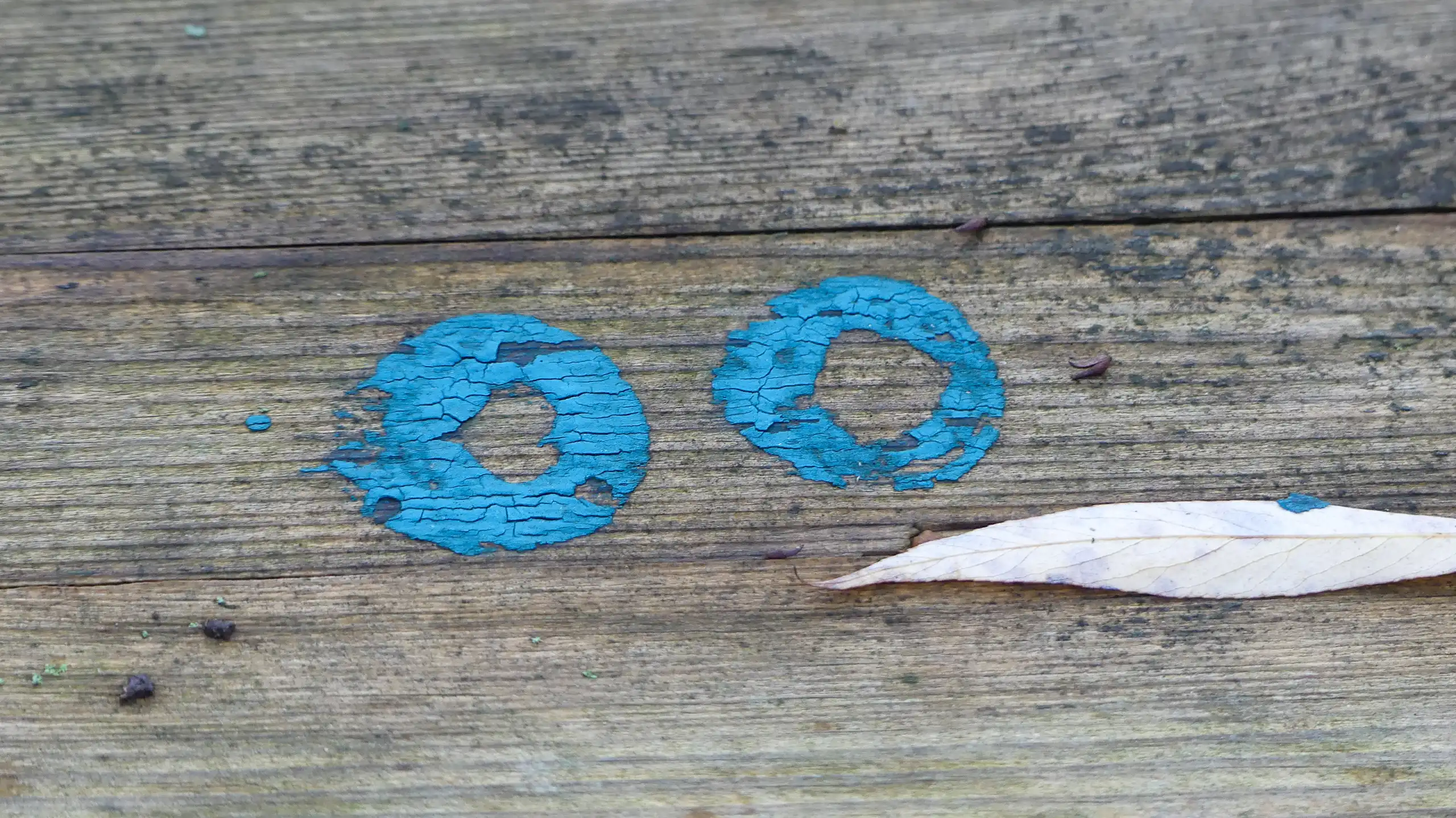 Foto Silke Worms-Dressing