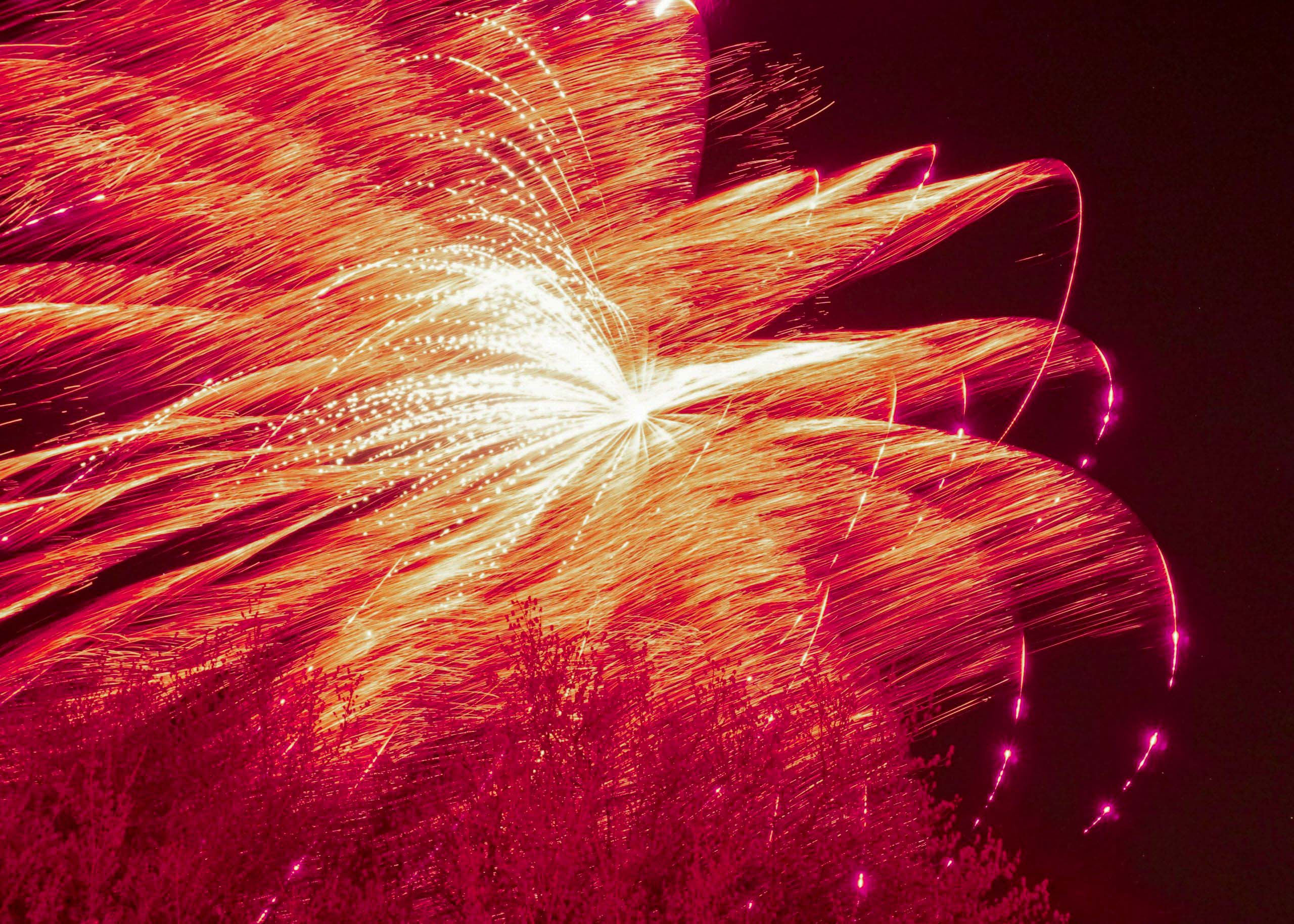 Foto: Maria Scheffer