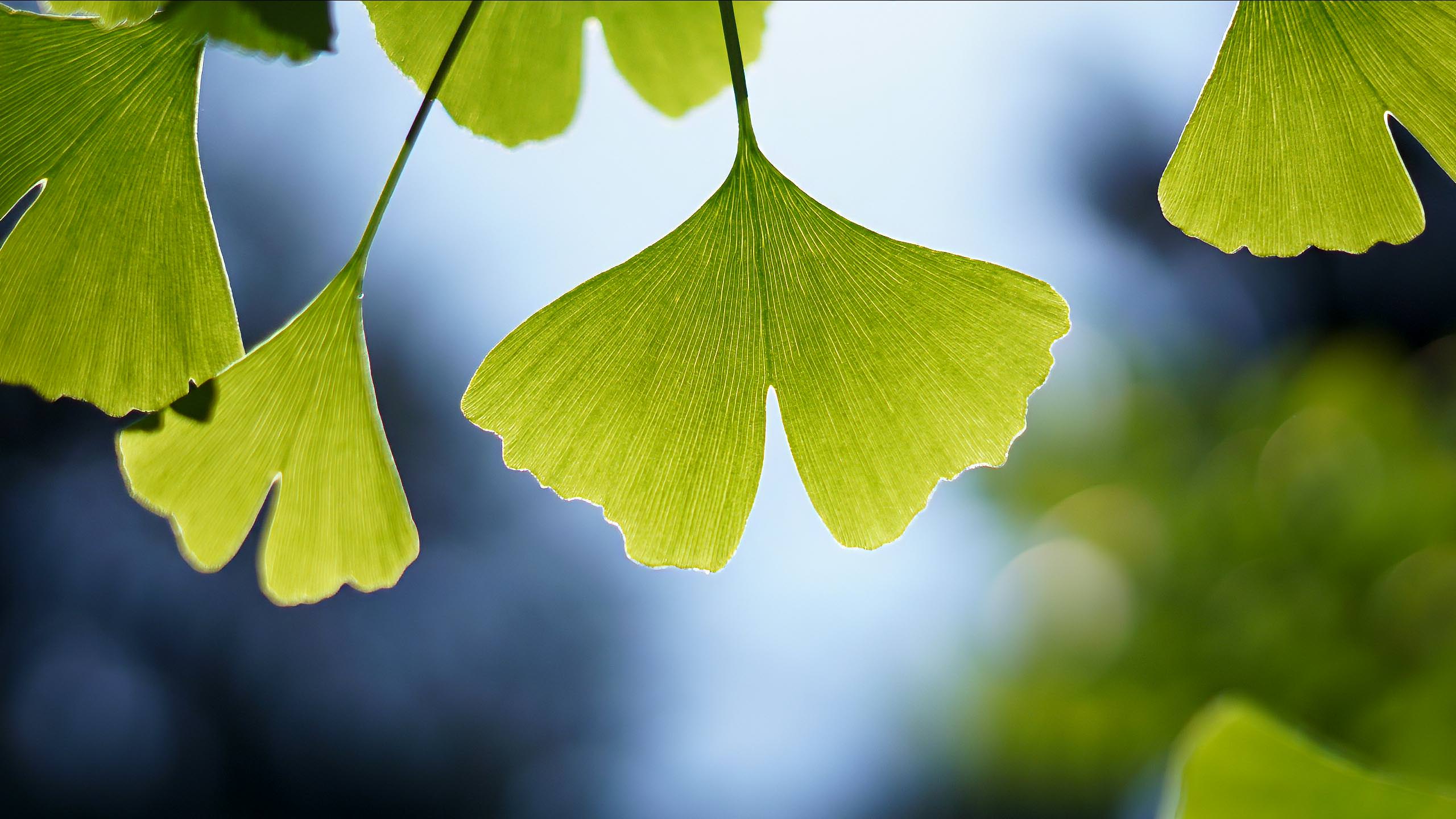 Foto: Cathrin Stegemann-Wibbelt