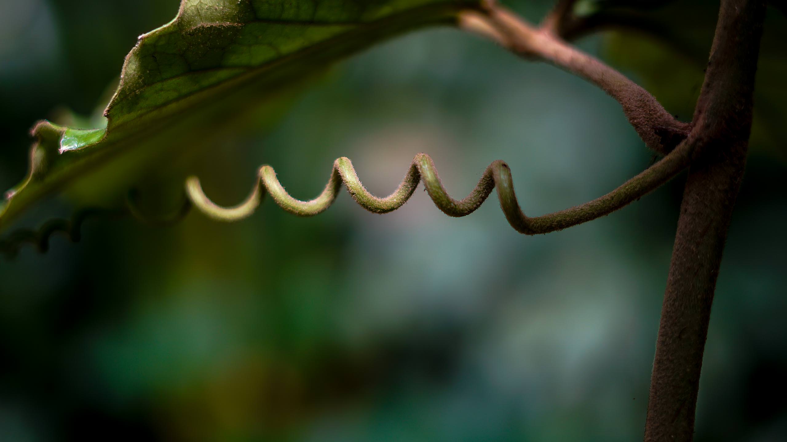 Foto: Cathrin Stegemann-Wibbelt