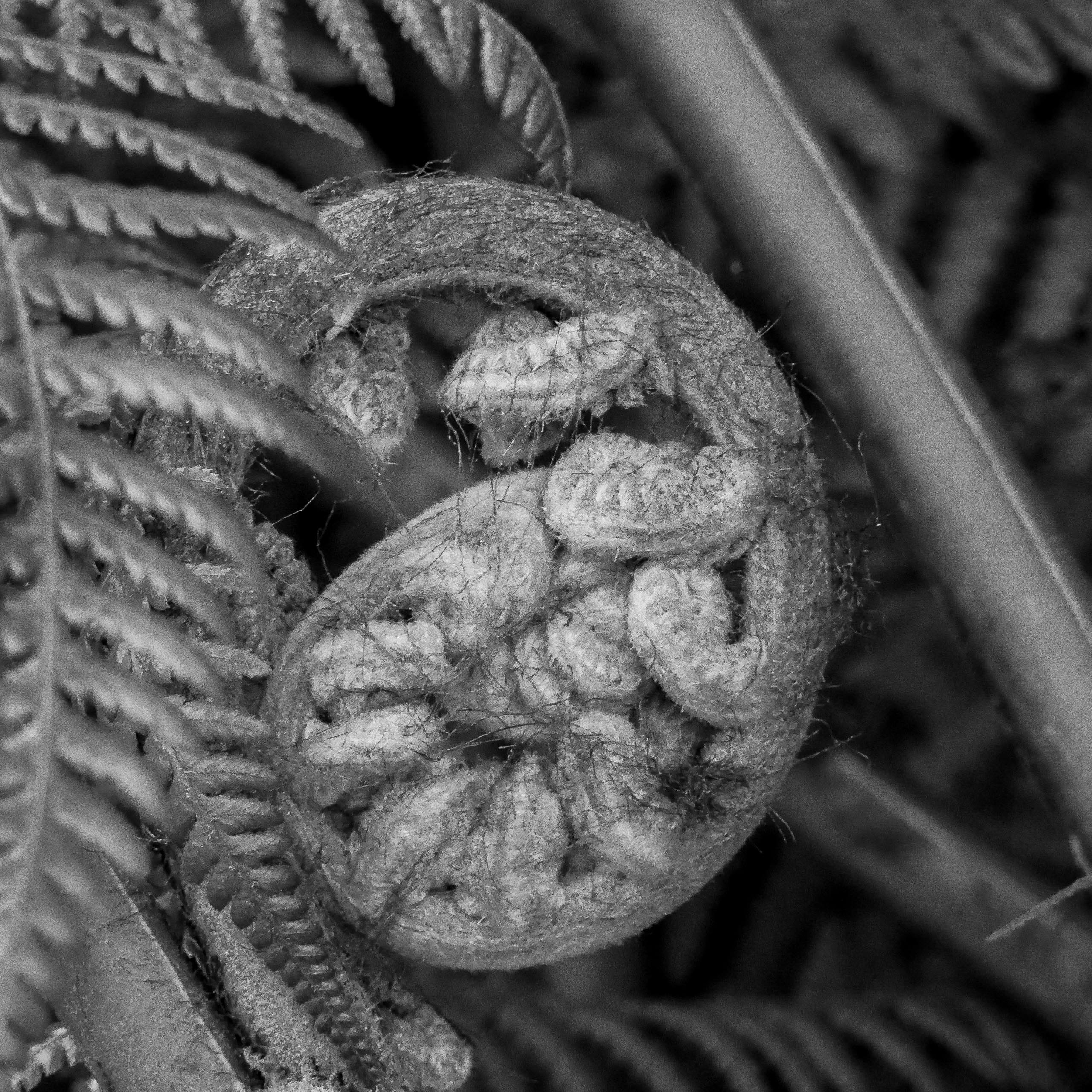 Foto: Alexandra Vetter