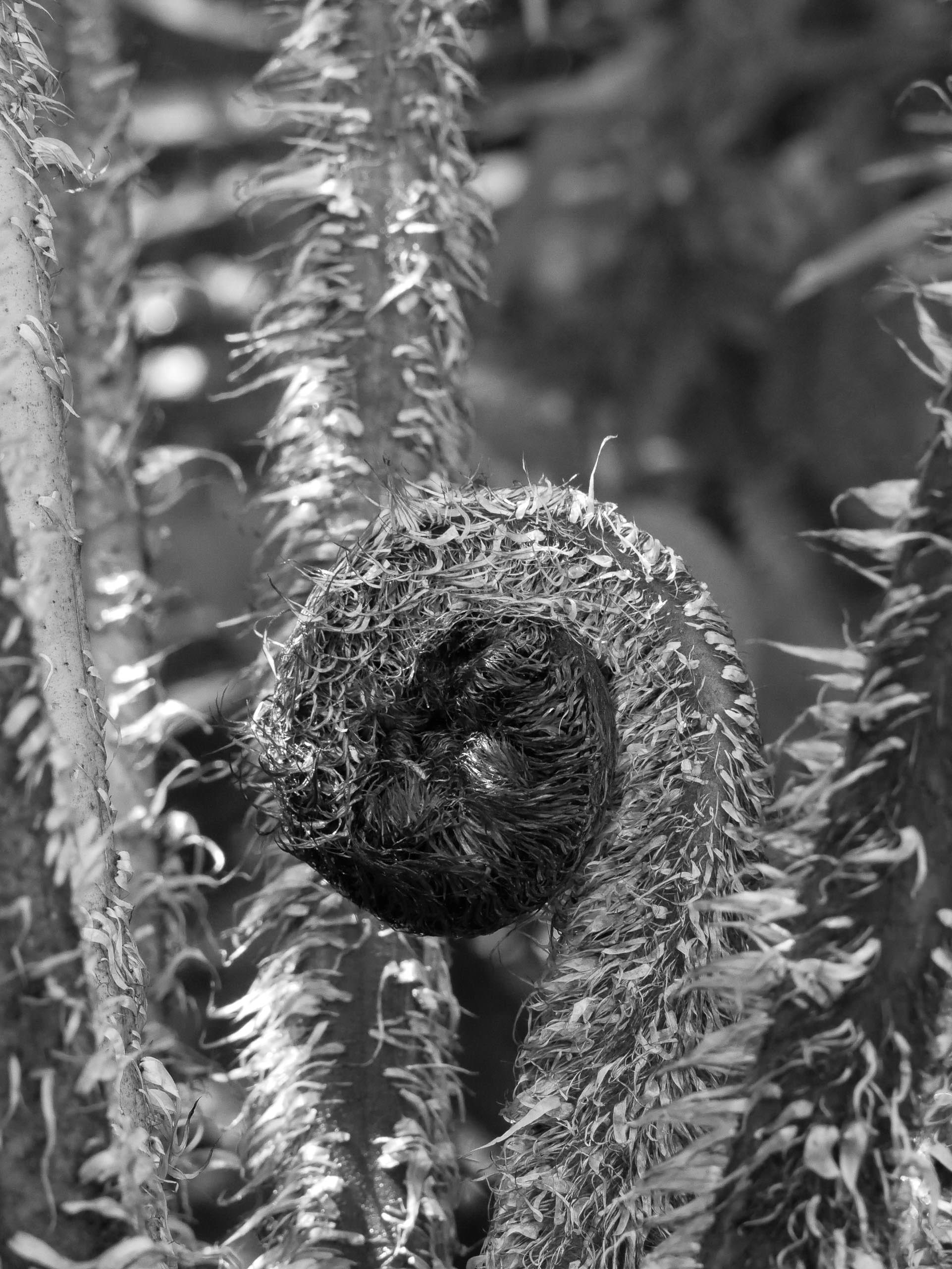 Foto: Alexandra Vetter