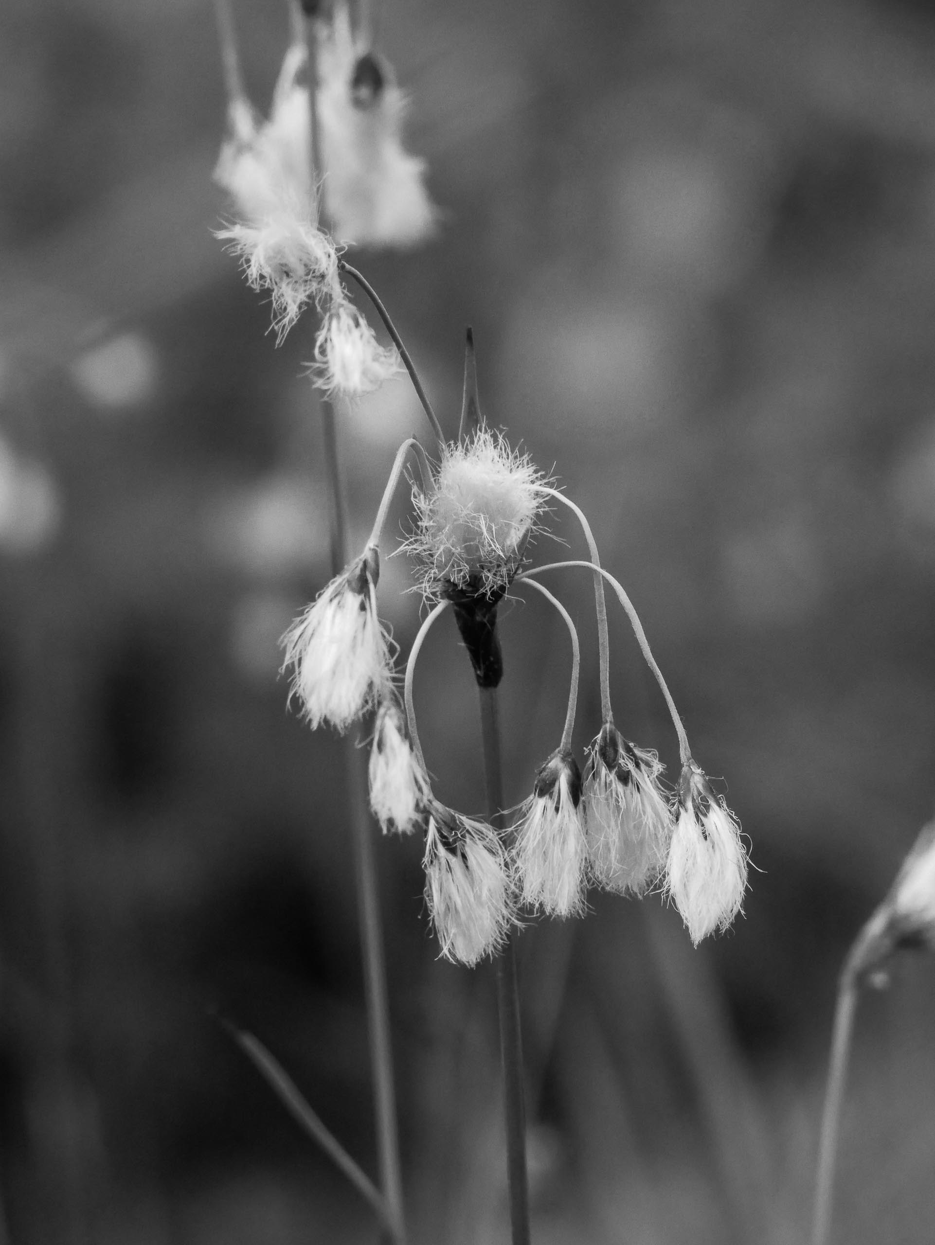 Foto: Alexandra Vetter