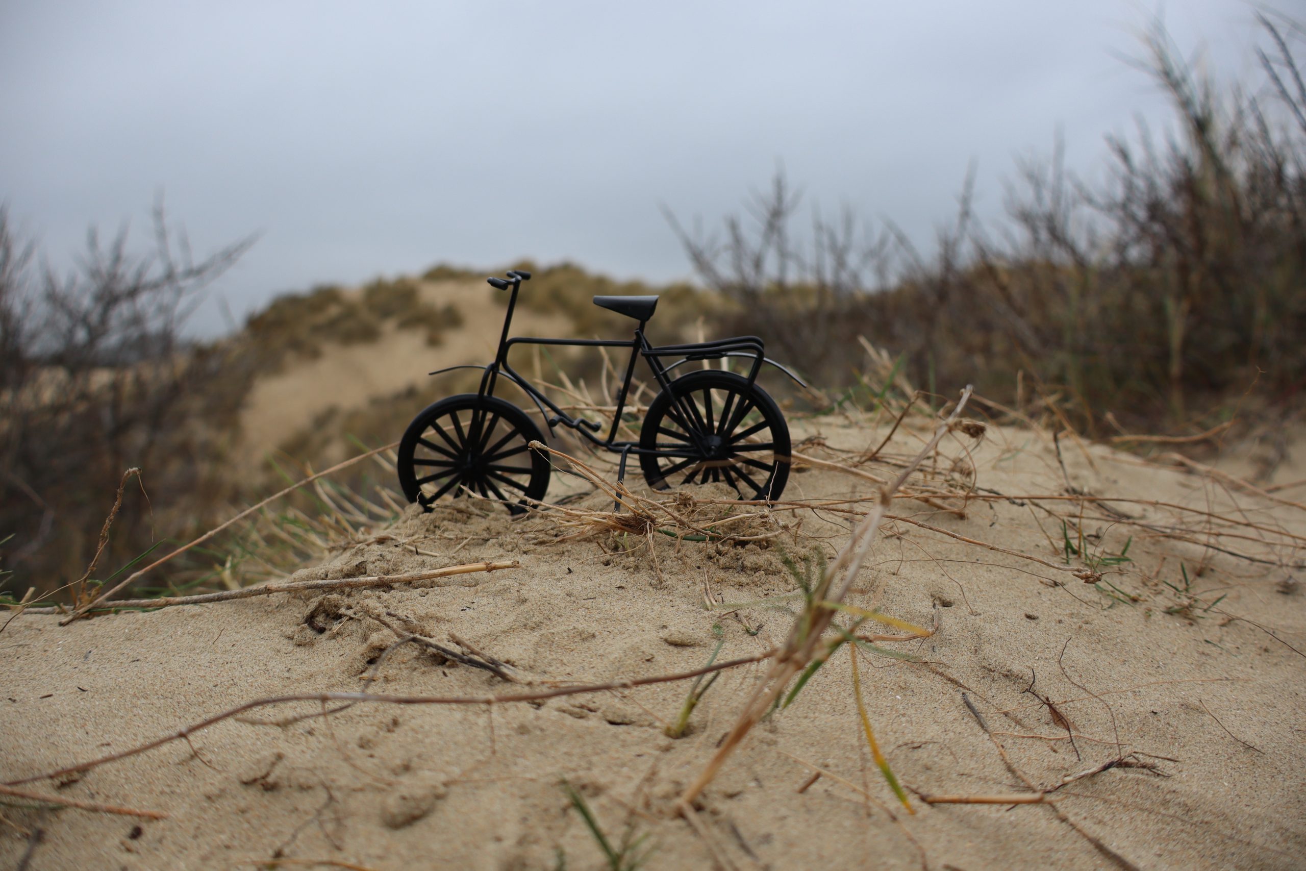 Foto: Alexandra Möller